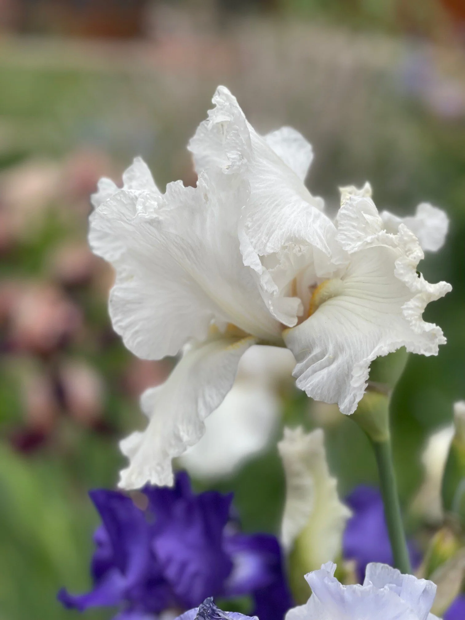 Meadow Hills Estates