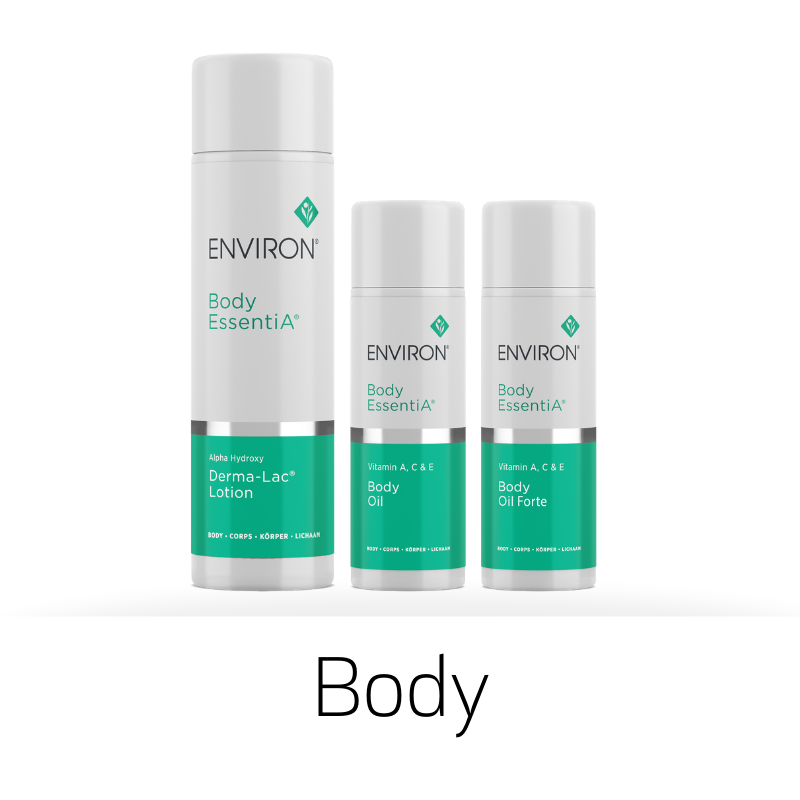 Body.PNG