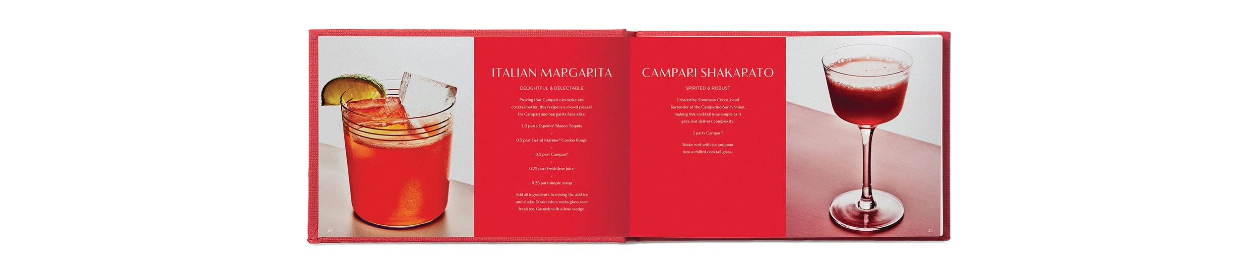CampariNegroni_Book_sp16.jpg