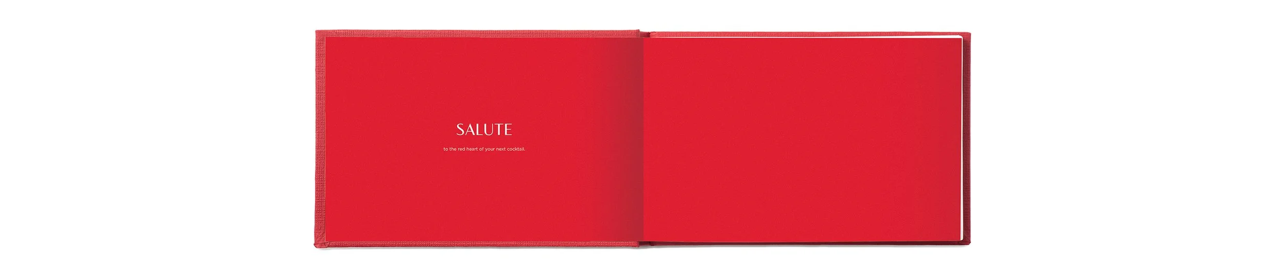 CampariNegroni_Book_sp20.jpg