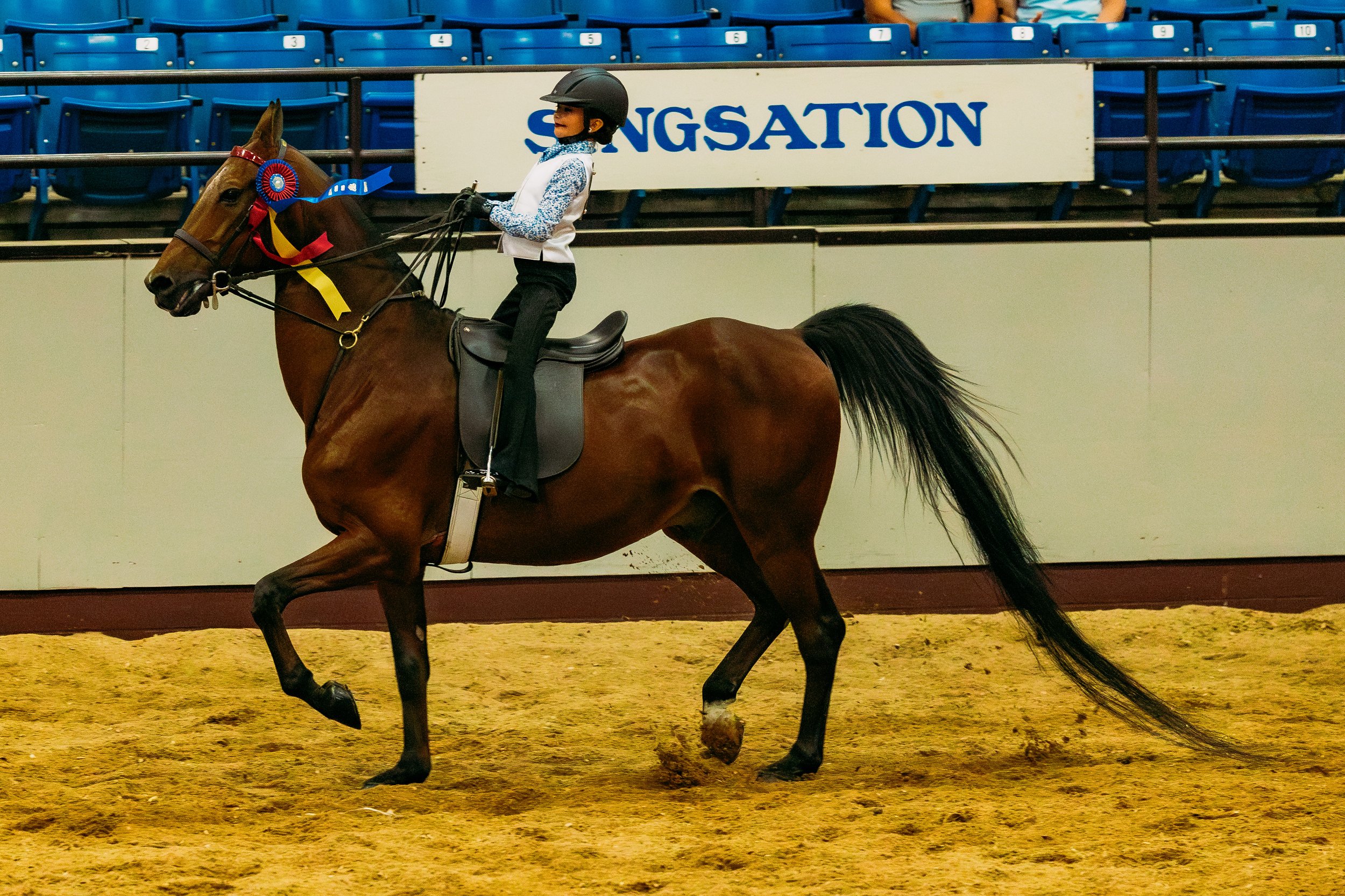 MOStatefair (15 of 22).jpeg