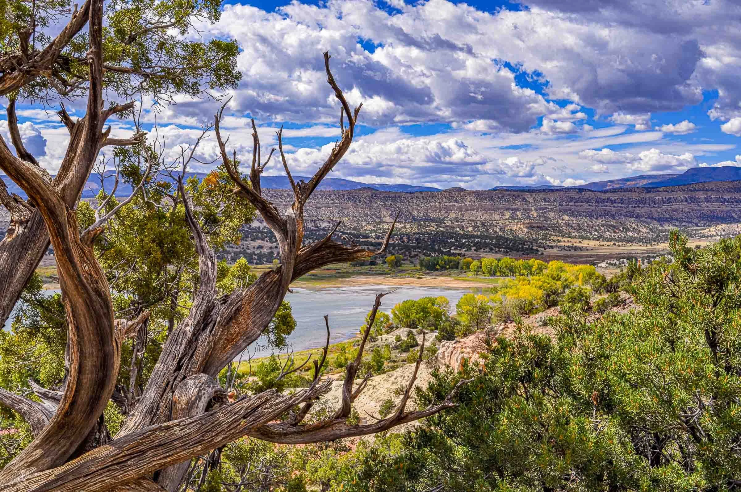 lake at the petrified forest in utah