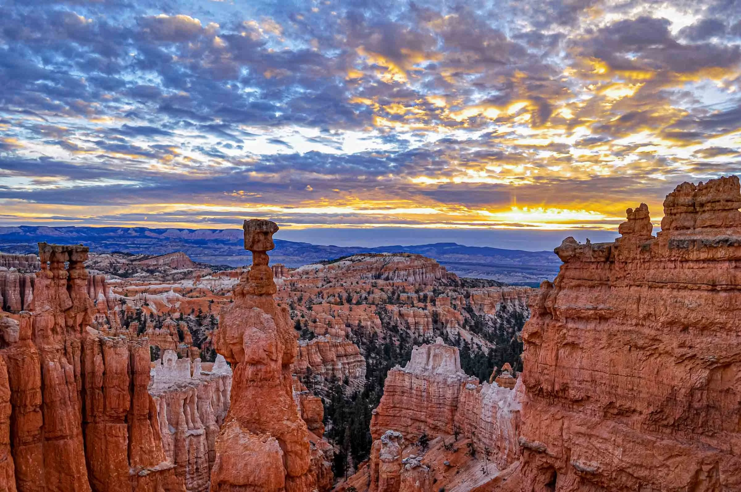 bryce canyon during sunrise