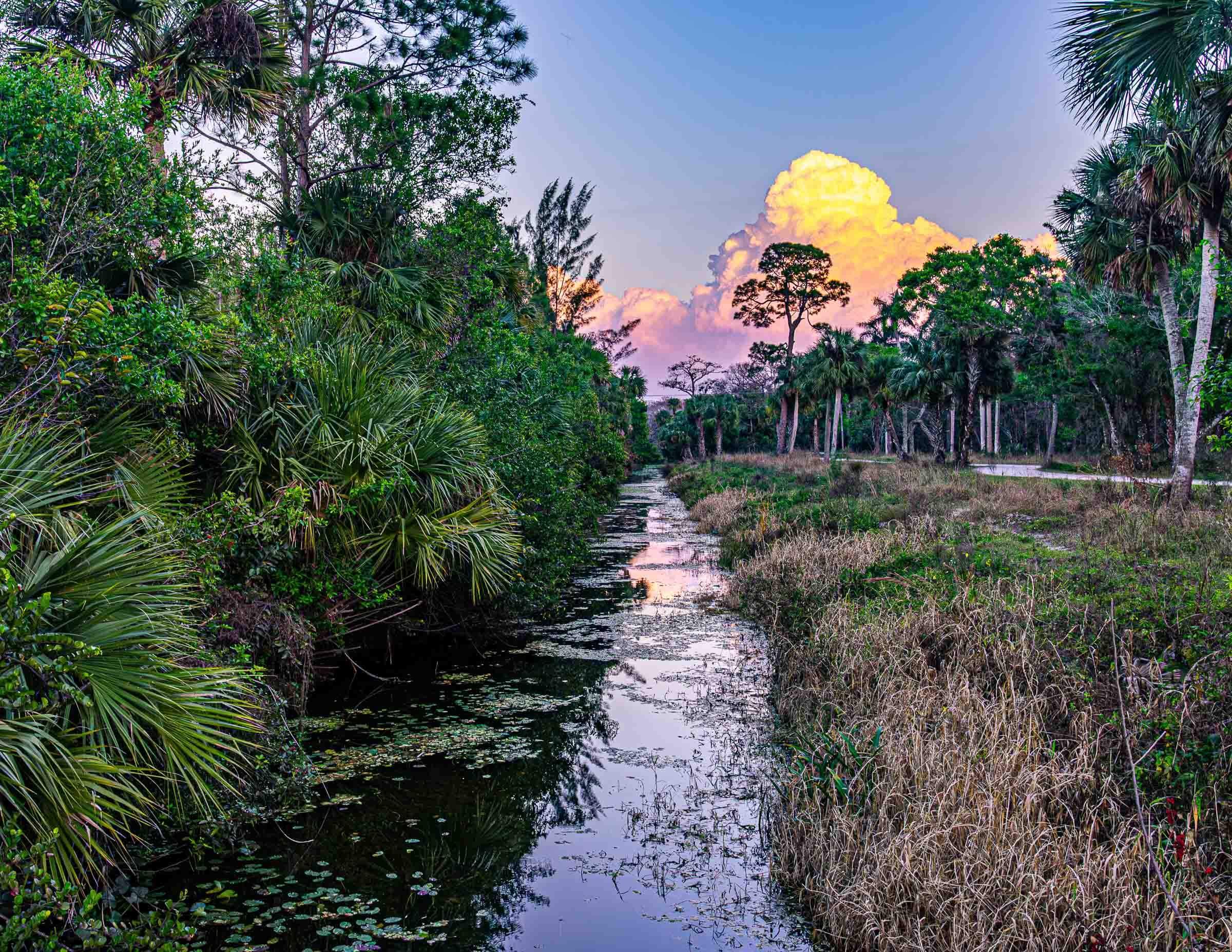 canal in a park in juno beach
