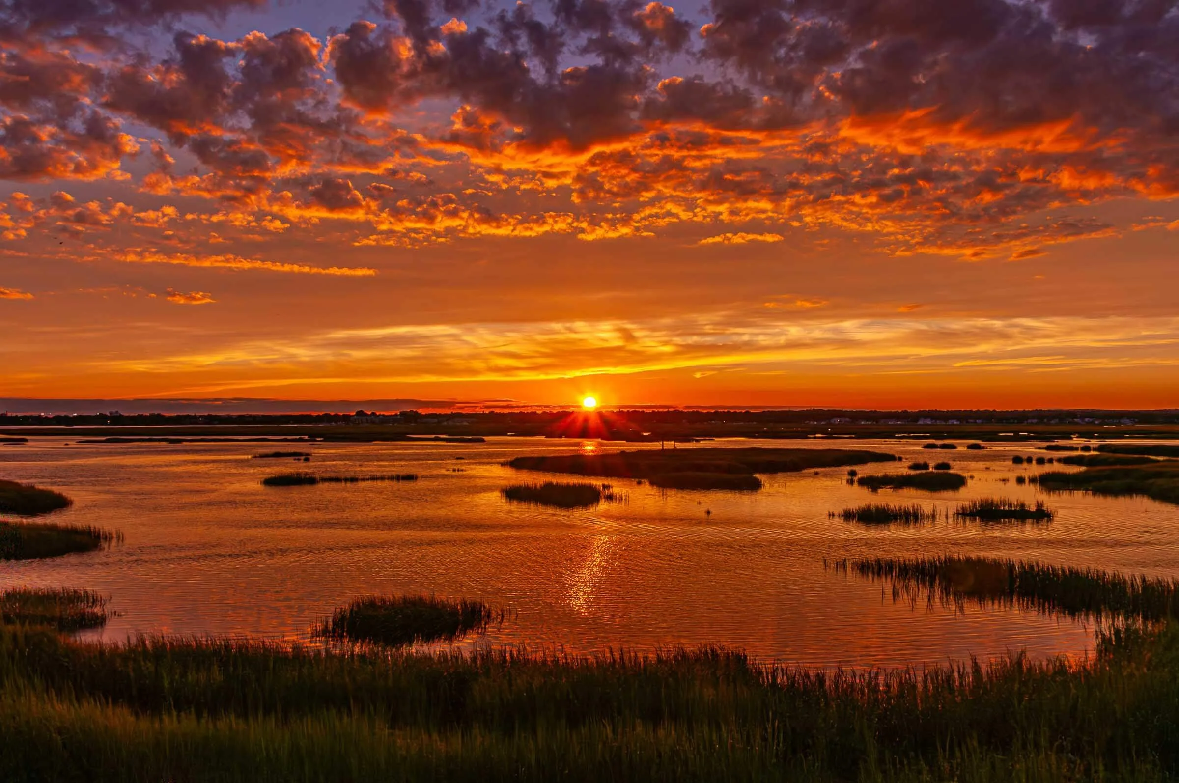 swampy sunset at the audubon in milford