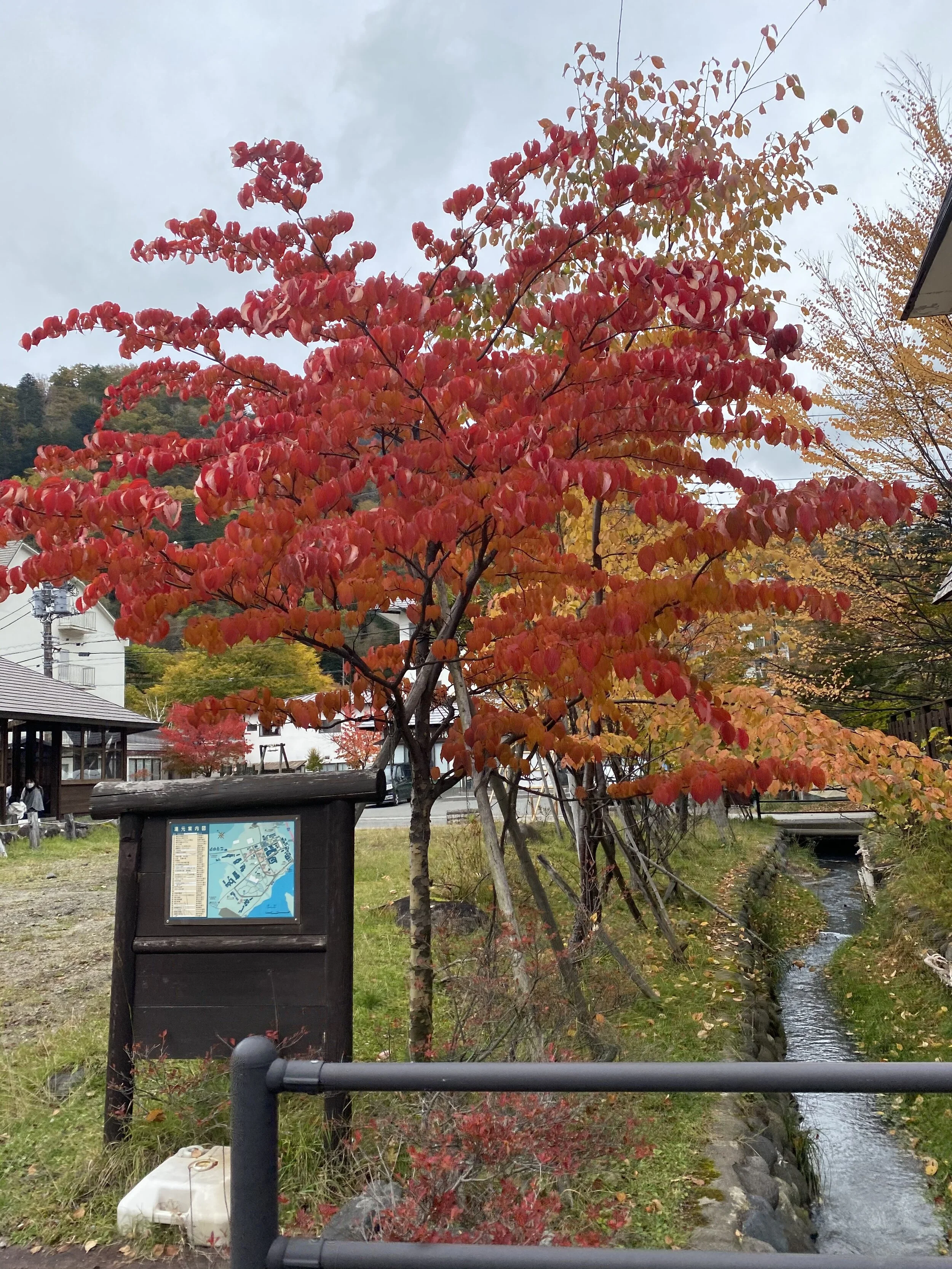 リフレッシュ!! Go To トラベル!!　かなこ
