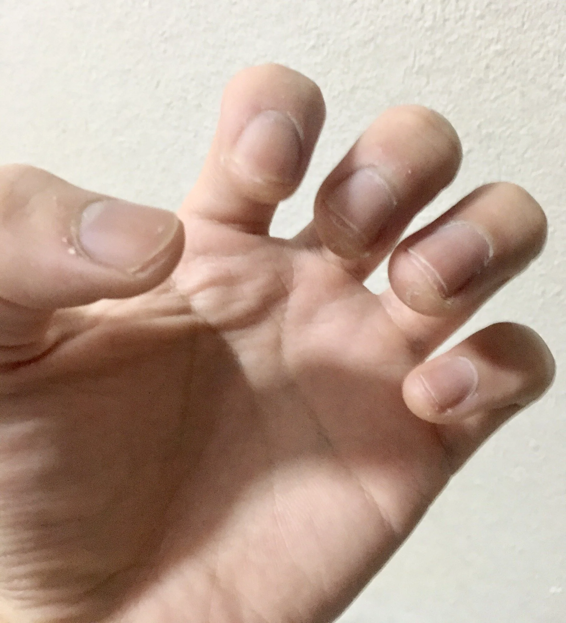 爪を切ろう！　ジュン