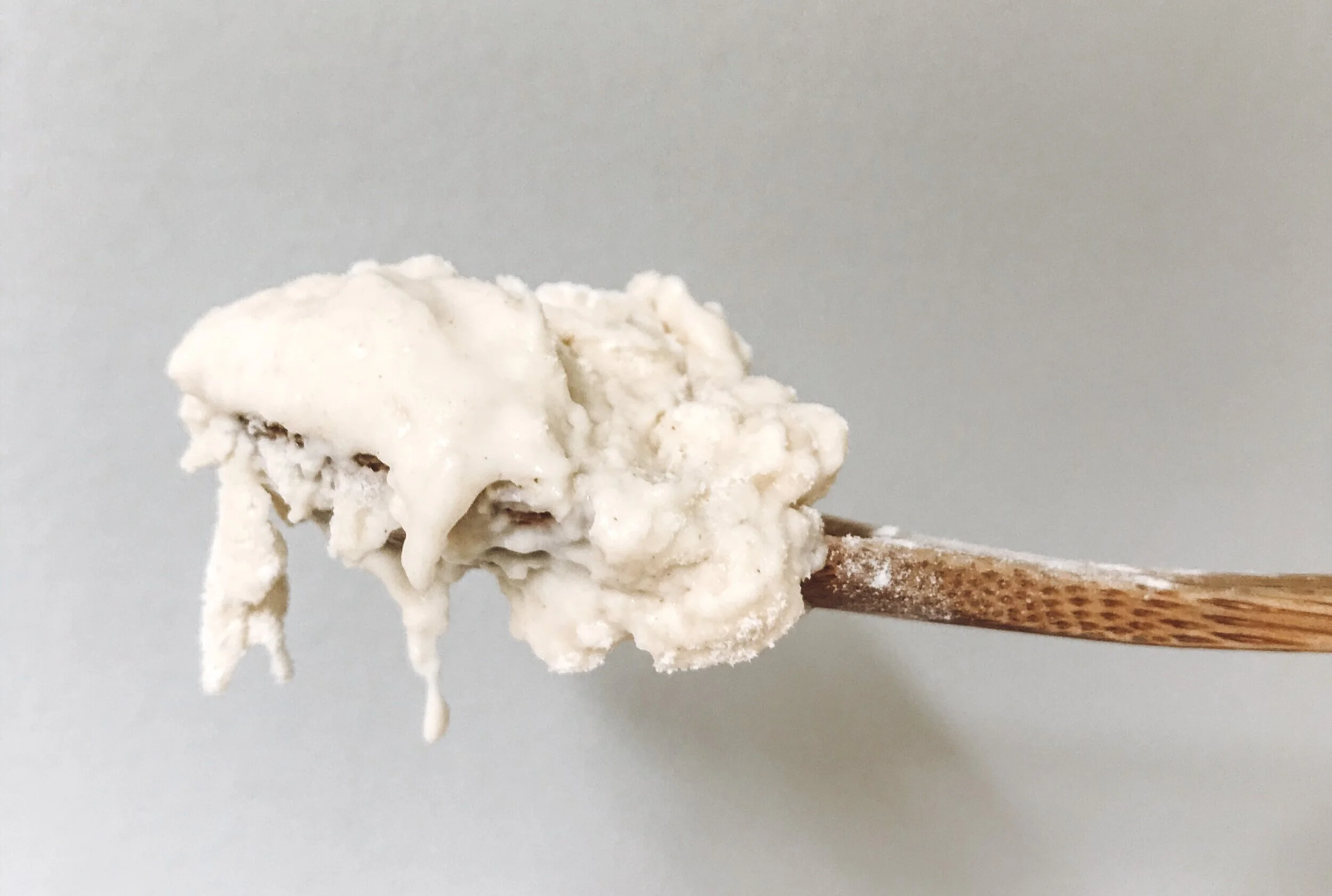 Sourdough Leaven — Wit & Wellness