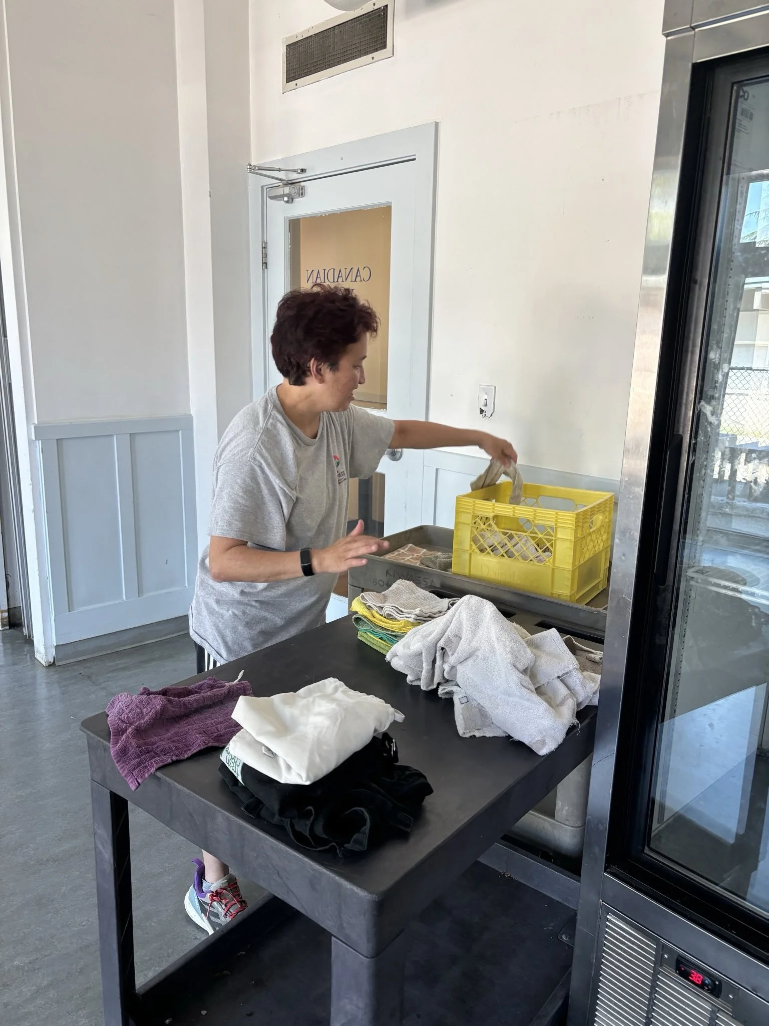 Alison folding laundry