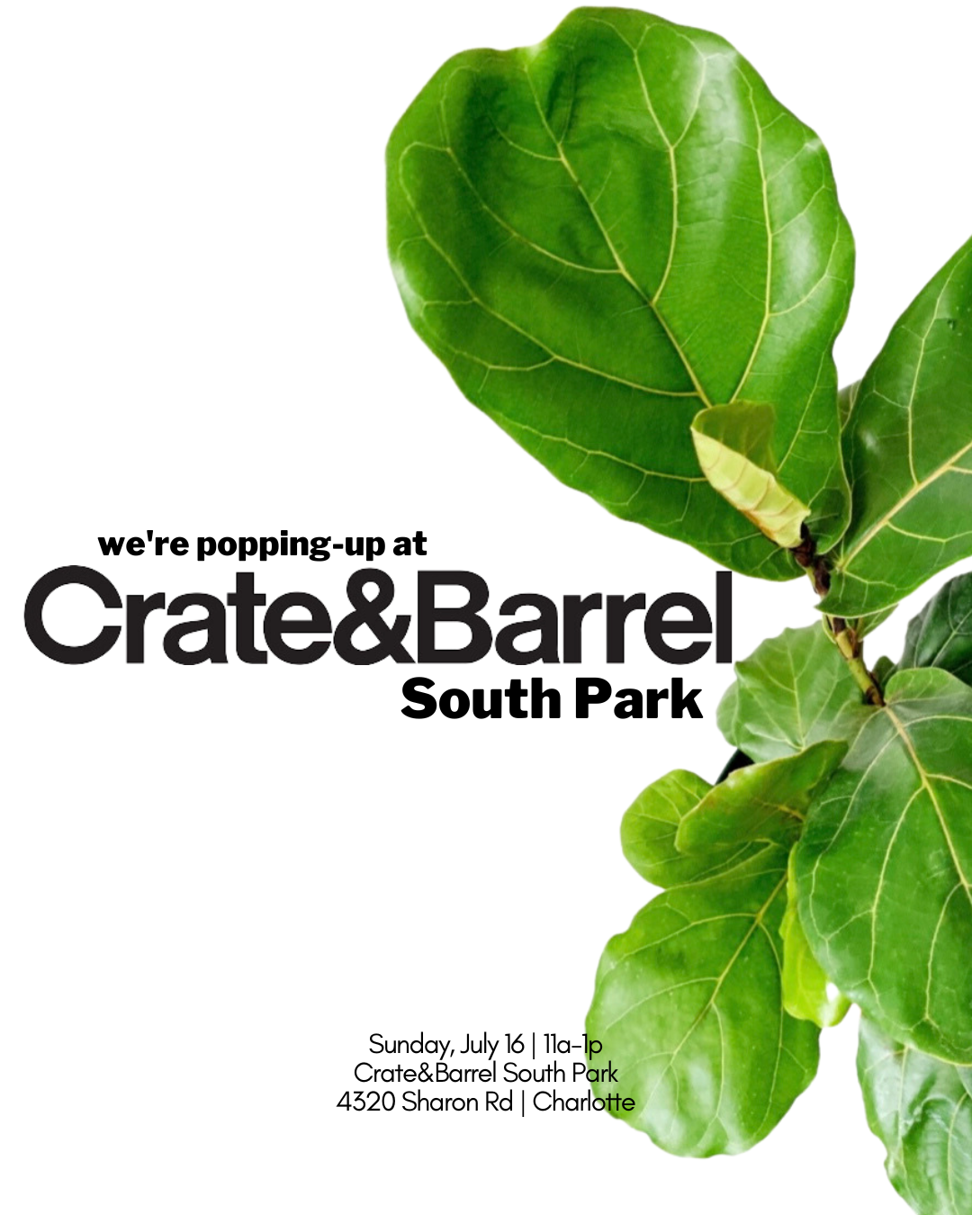 grow pop-up at Crate & Barrel South Park