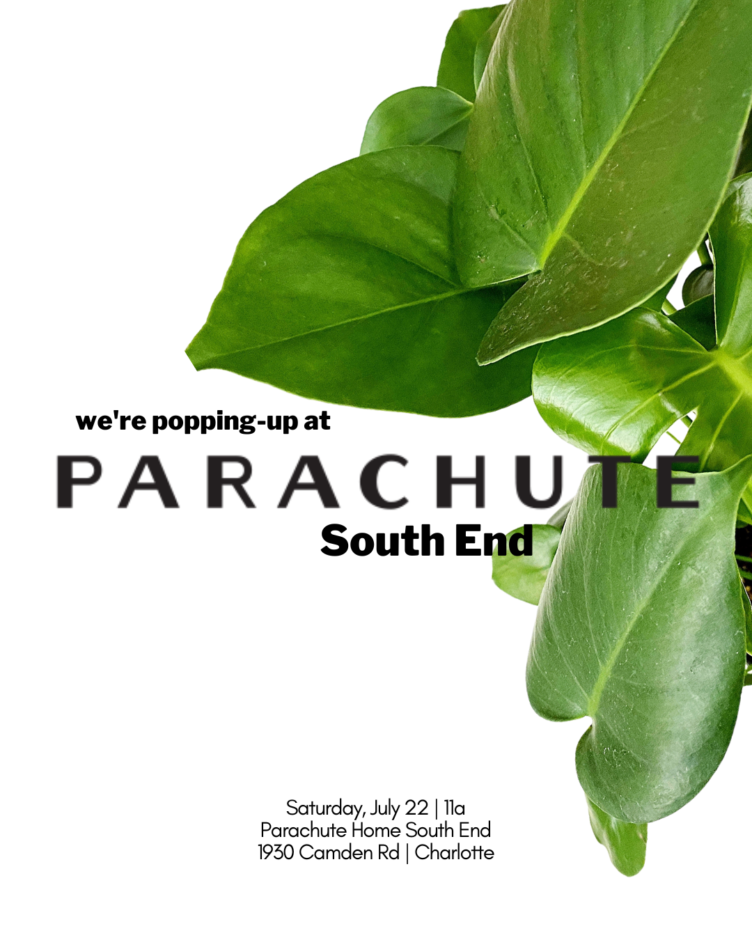 grow pop-up at Parachute Home South End