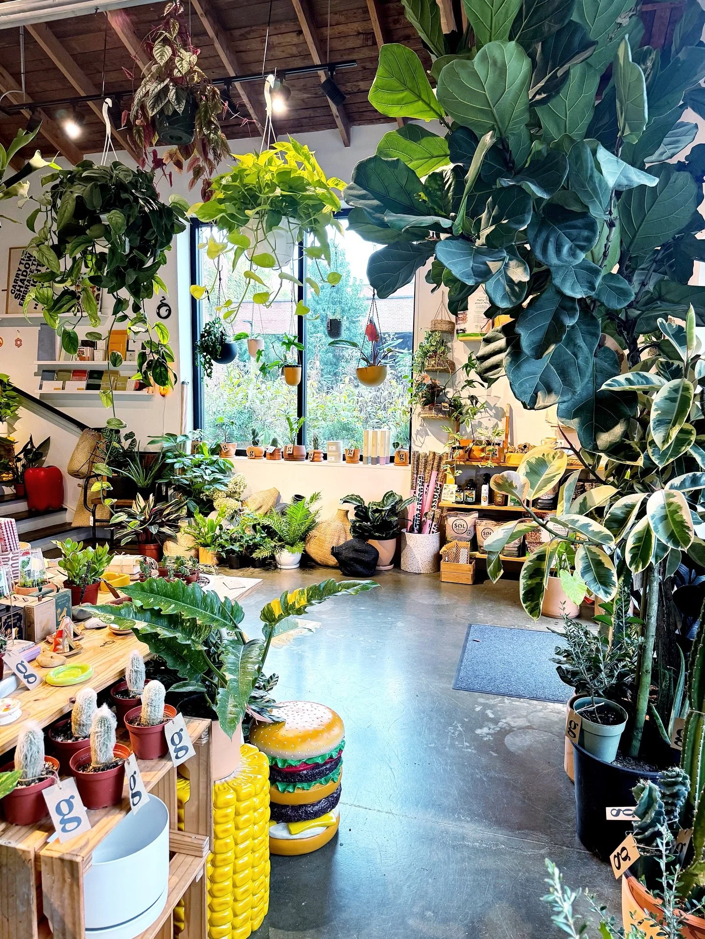 spent yesterday turning the shop into a jungle!  BIG BIG restock now available!

we&rsquo;ve noticed lately that lots of people have been into placing orders in advance + picking up in the shop, so if you have your eye on something, dm us + we can in