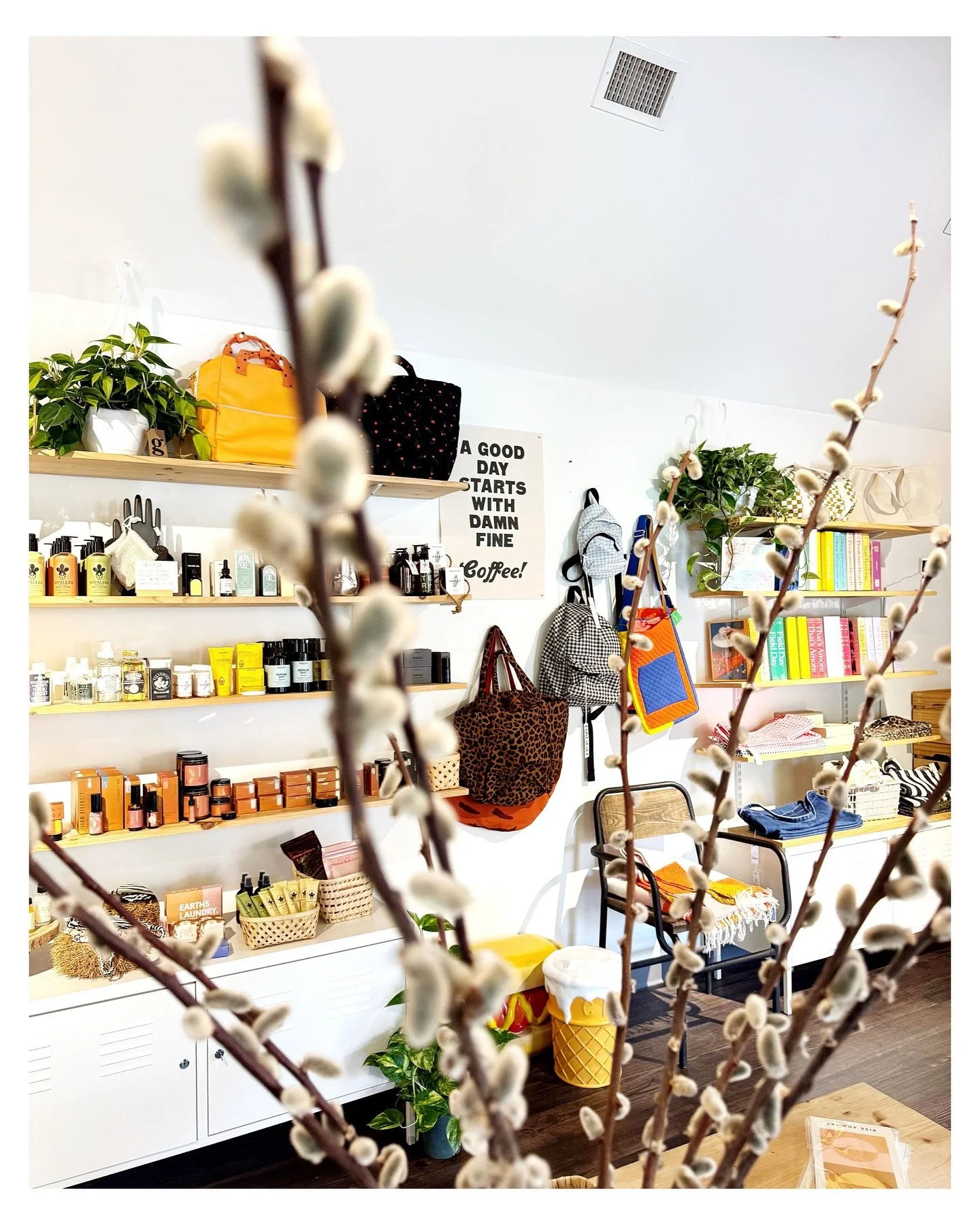 if i could describe the shop in one word right now, it would be O V E R F L O W I N G!

come see us + check out all the absolutely weird, bizarre + beautiful plants + more currently in stock!  it&rsquo;s only wednesday + we&rsquo;ve already brought p