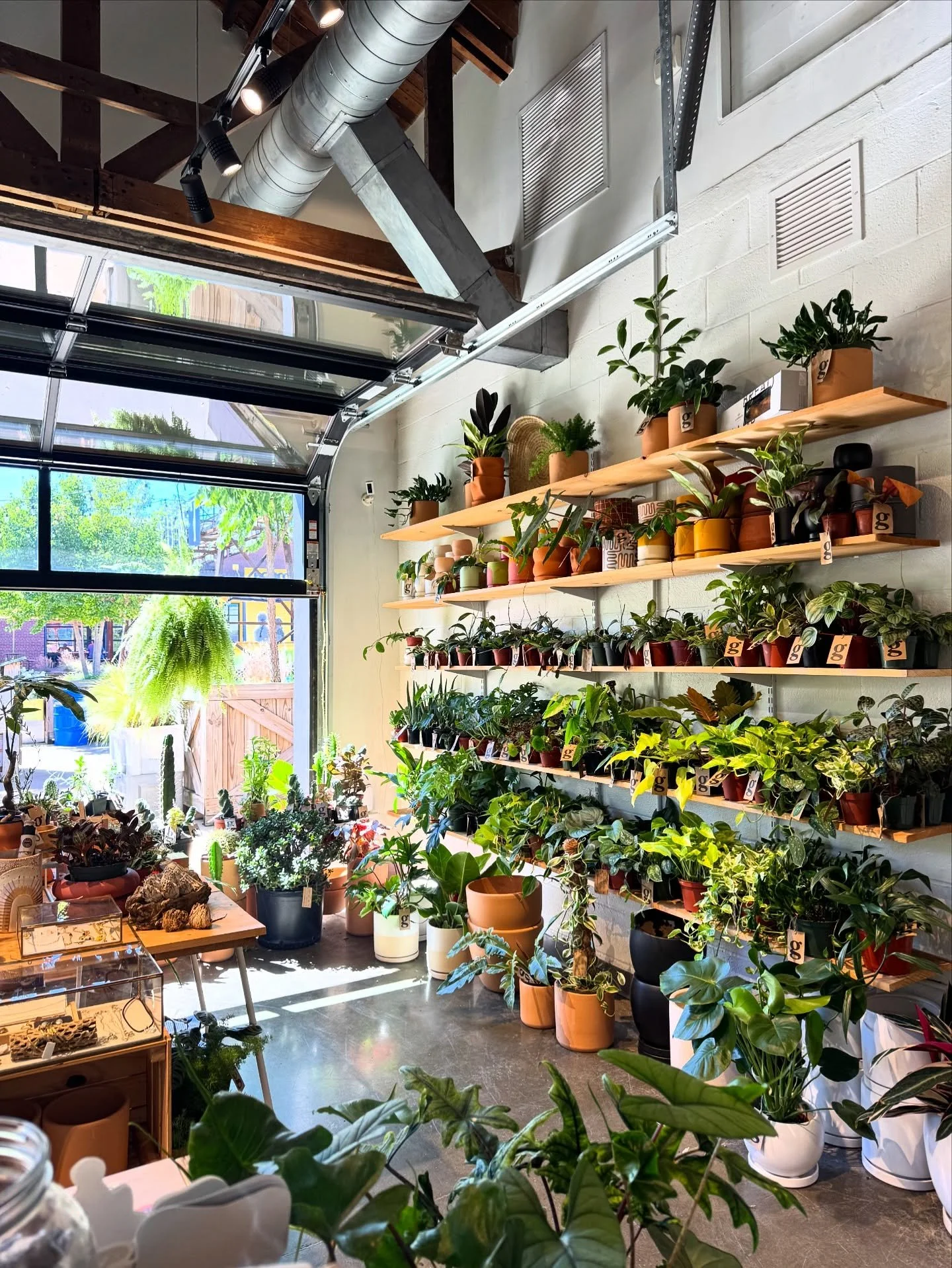 looking forward to another beautiful day in the shop w you all tomorrow&hellip;+ all weekend!

fri 12-7 | sat 11-6 | sun 11-6
