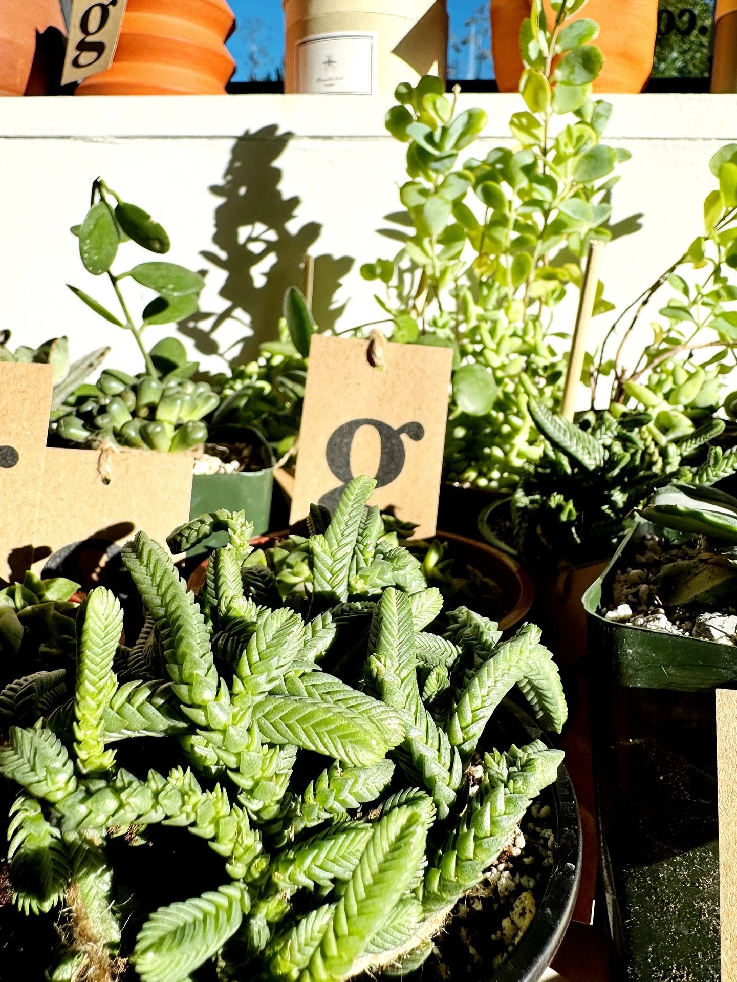 it was so good to see so many familiar faces in the shop + around Camp today! 

let&rsquo;s do it again tomorrow! 

open 11-6