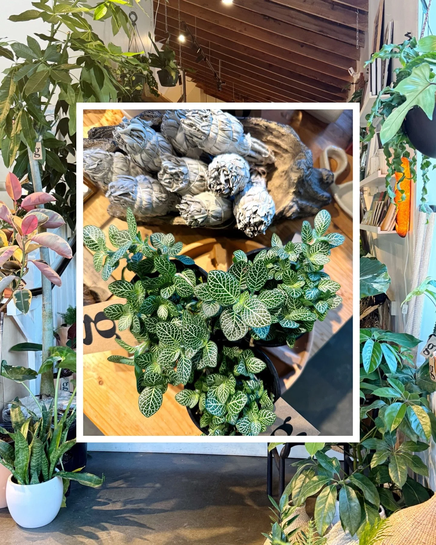 happy wednesday!

we&rsquo;re rested, restocked + open at noon!  spend $150+ in the shop today + take 20% off your purchase!

open 12-7