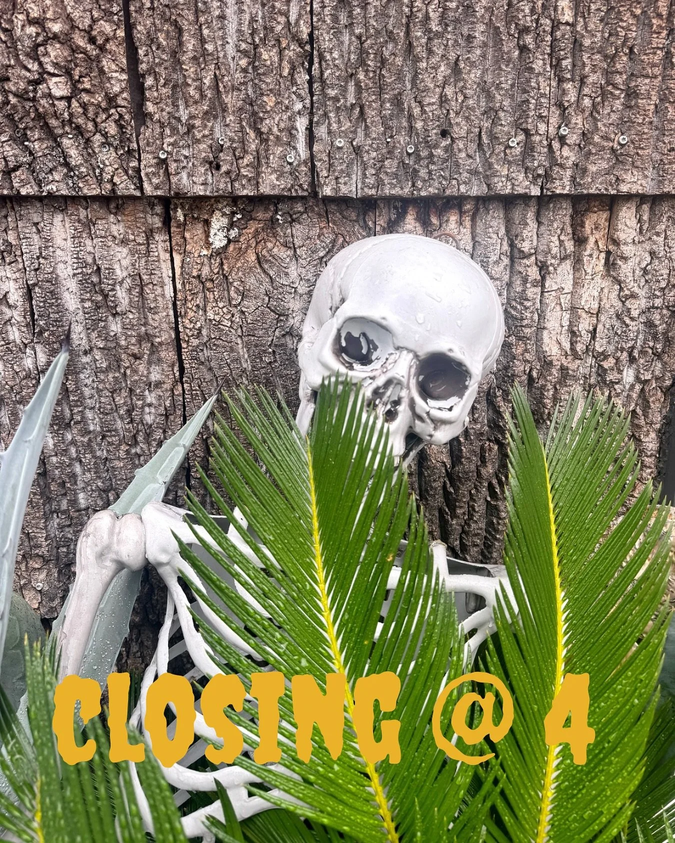 happy halloween!

closing early today to get home for the trick-or-treaters!