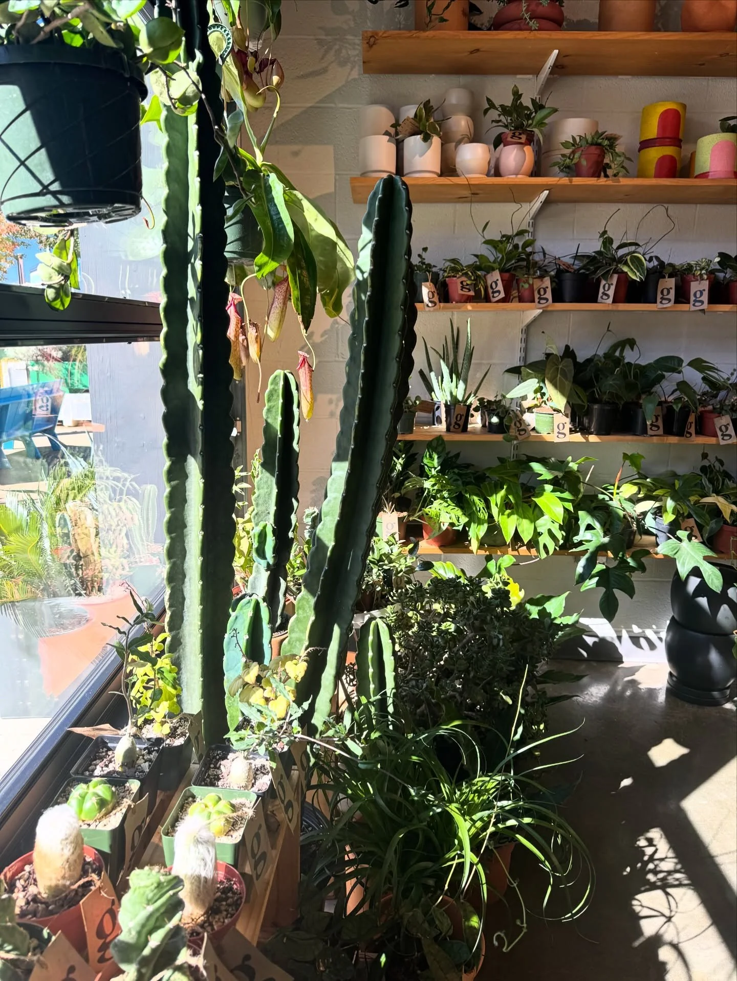 another beautiful day in the queen city!

open 12-7!