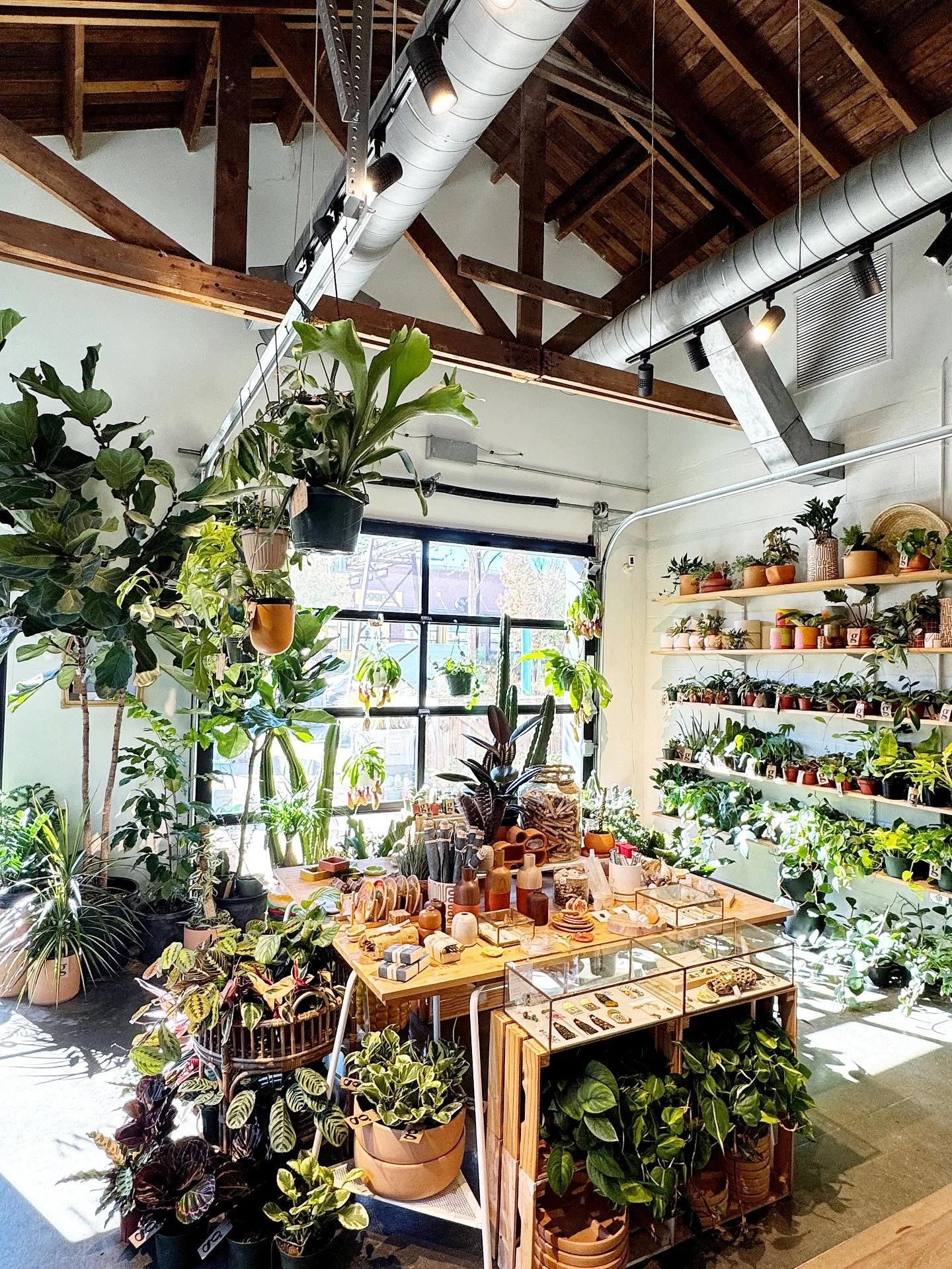 the shop is honestly SO full + SO gorgeous right now!  can&rsquo;t wait for you all to see it this weekend!

thurs 12-5 | fri 12-7 | sat 11-6 | sun 11-6