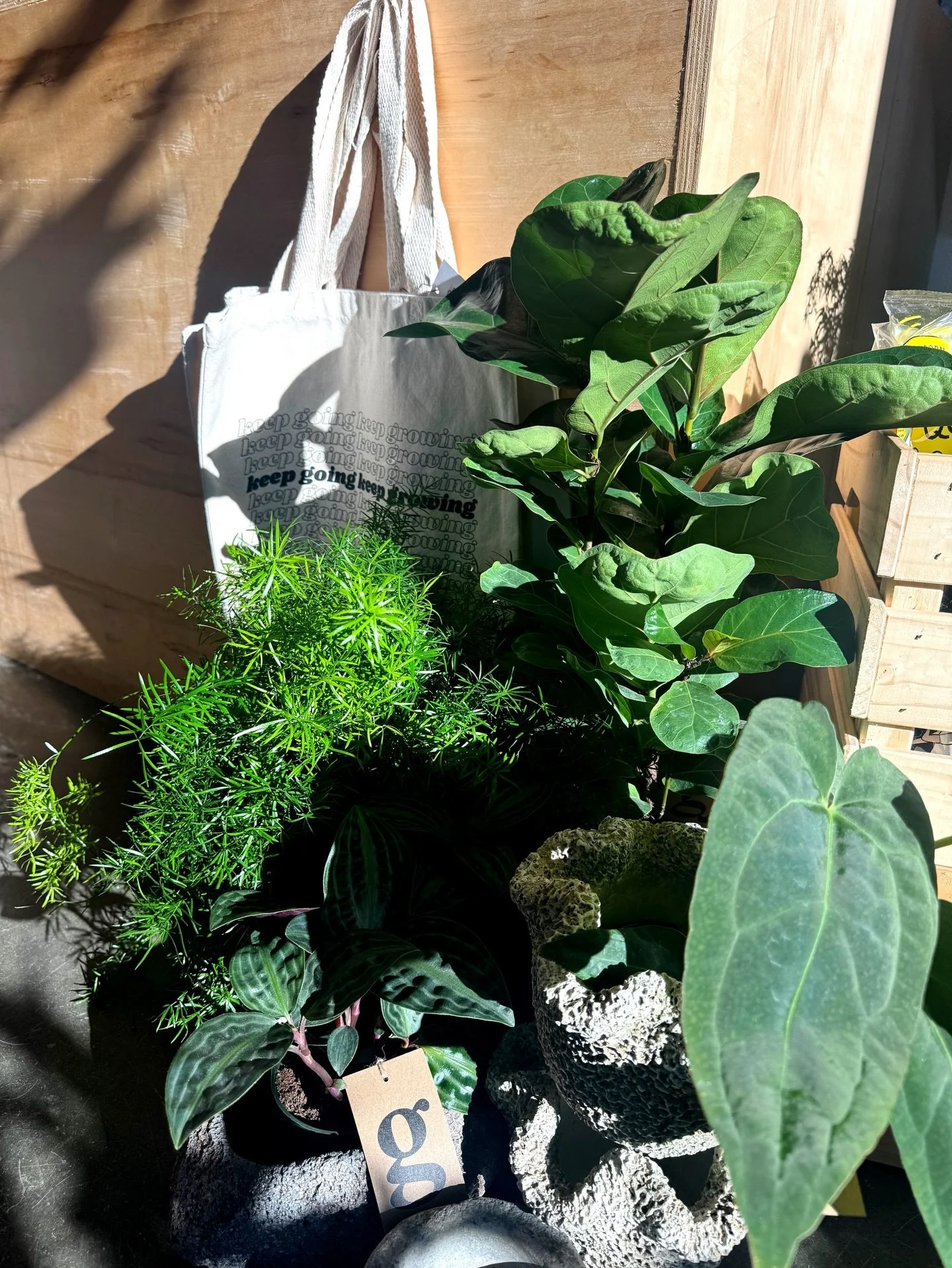 here we are&hellip;the time has come to wrap up your shopping so you can wrap up those gifts!

wed 12/24 | 10-4
thurs 12/25 | closed
fri 12/26 | 12-6