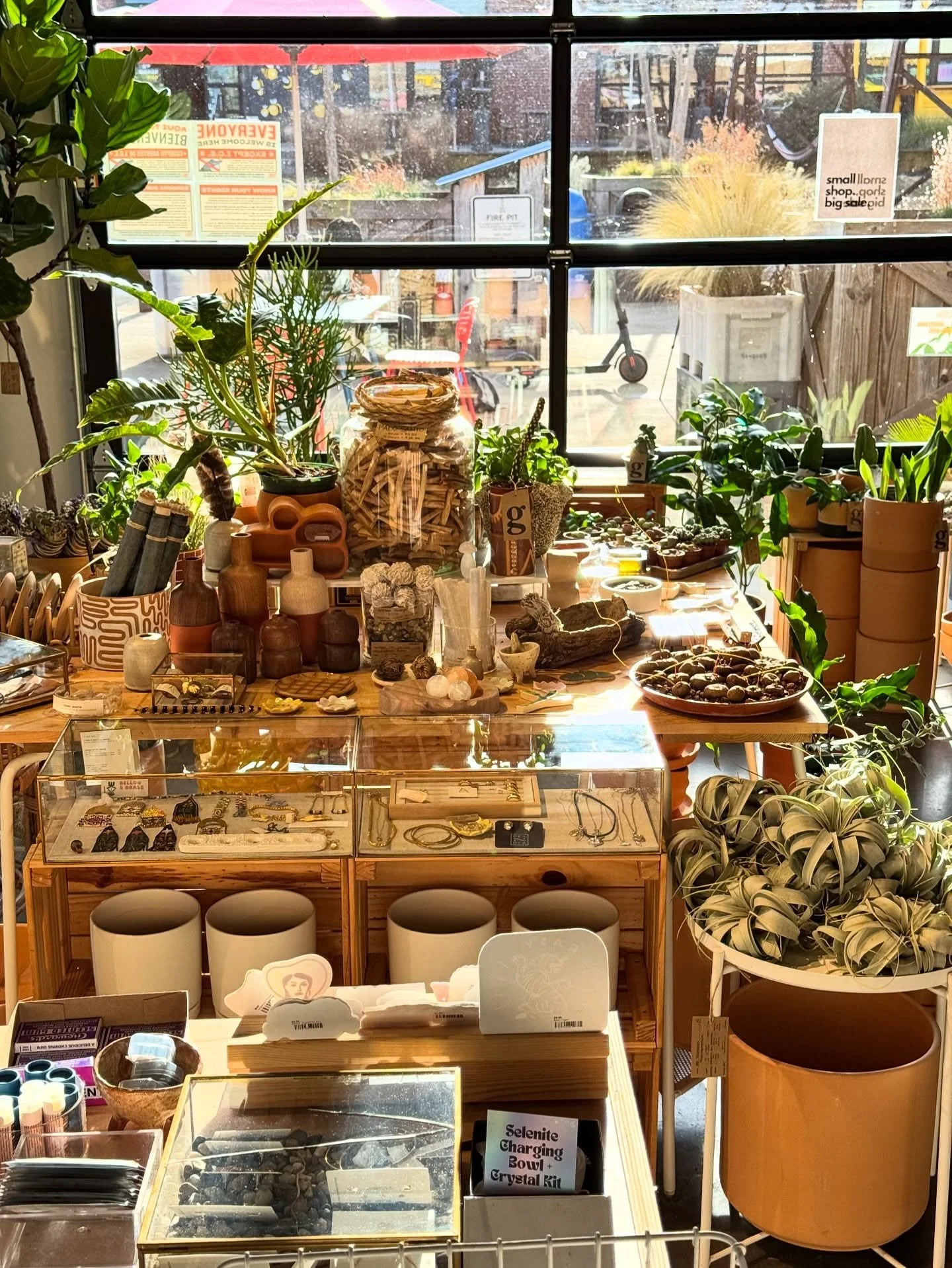 here &lsquo;til 7 for all your plant, jewelry, puzzle, candle/incense, face/body care, matcha, cozy throw, sticker, snack (&hellip;+ on + on + on) needs!!!

come treat yourself!  oh + today is the last day of our 20% off plants sale!