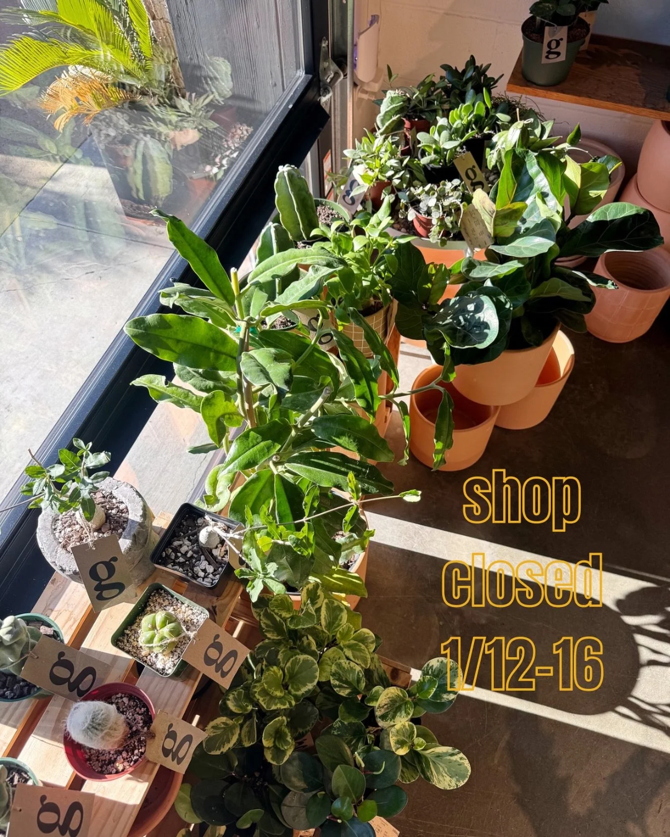 psst&hellip;we&rsquo;re taking a quick little winter break this week.  see you when we&rsquo;re back on Saturday, 1/17 at 11a!