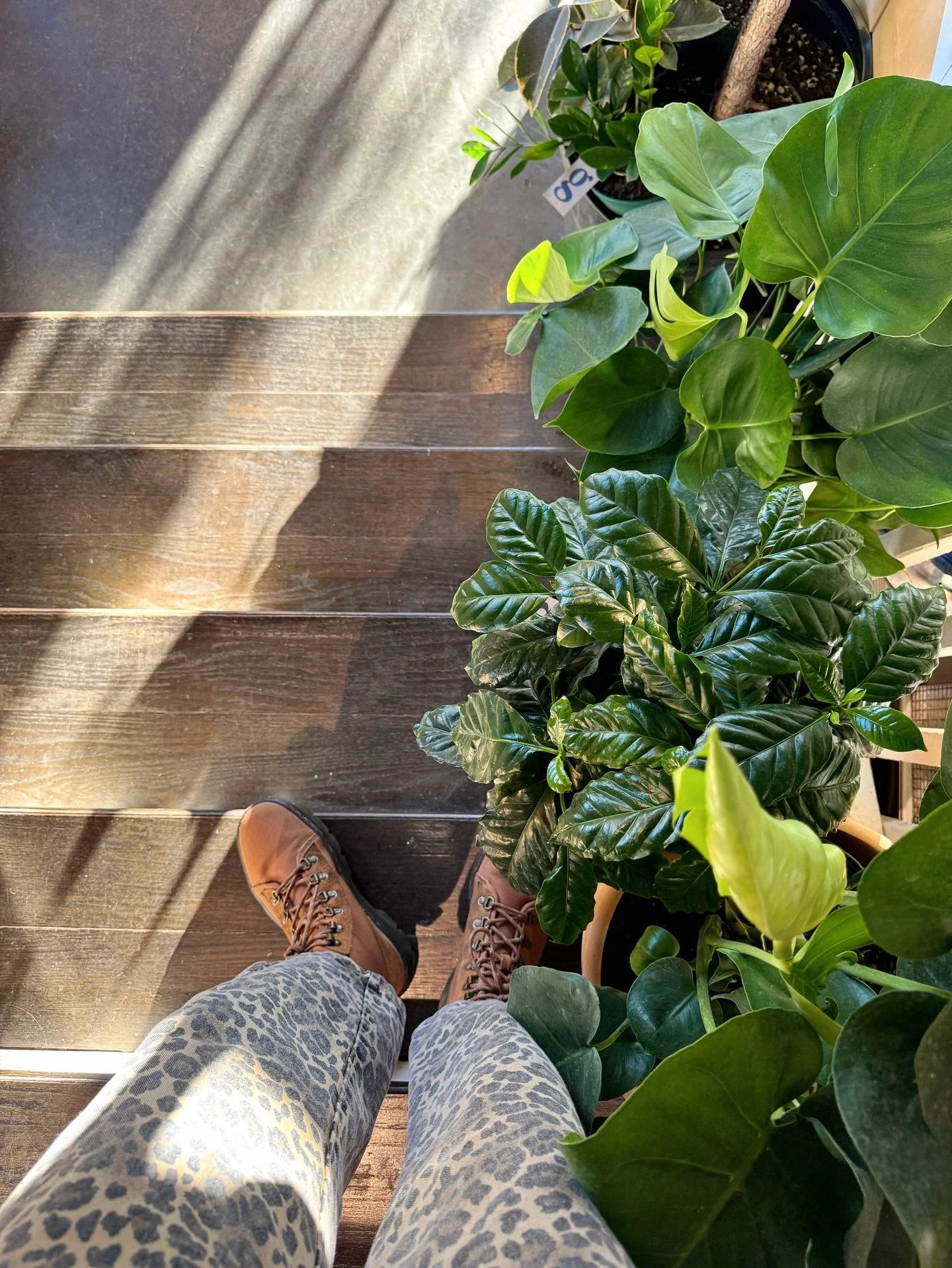 bring your cute selves into the shop today + pick up a little something to treat yourself.  you deserve it!