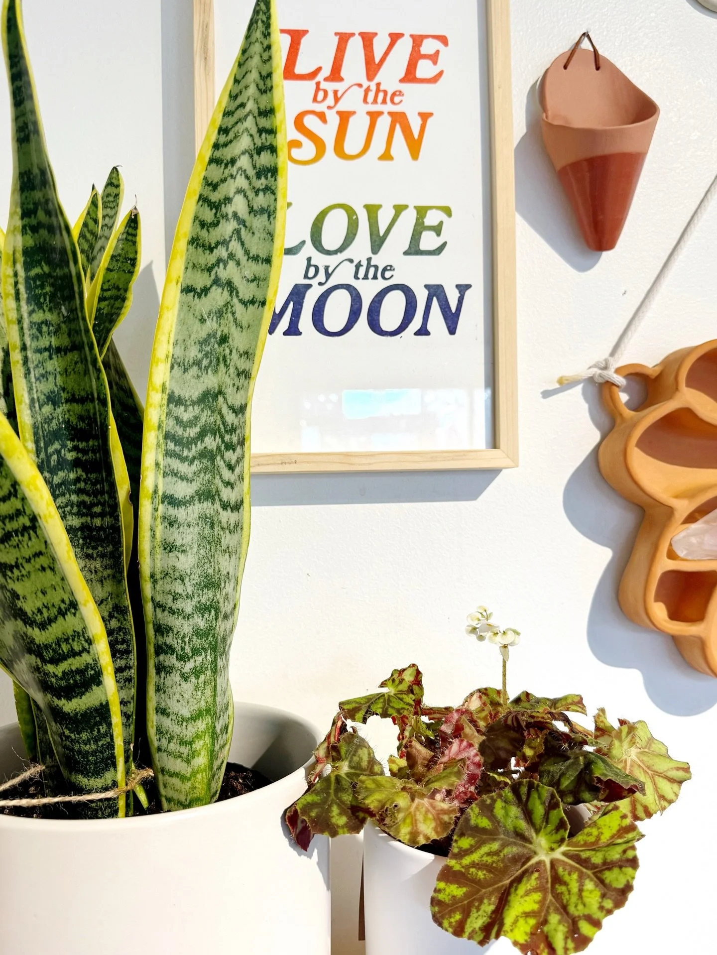 guess i&rsquo;m just posting here to say thank you.  i don&rsquo;t know if it&rsquo;s the nicer weather or what, but you guys have been coming out + supporting in such a huge way these last couple days + i&rsquo;m just so very grateful! 

have the be