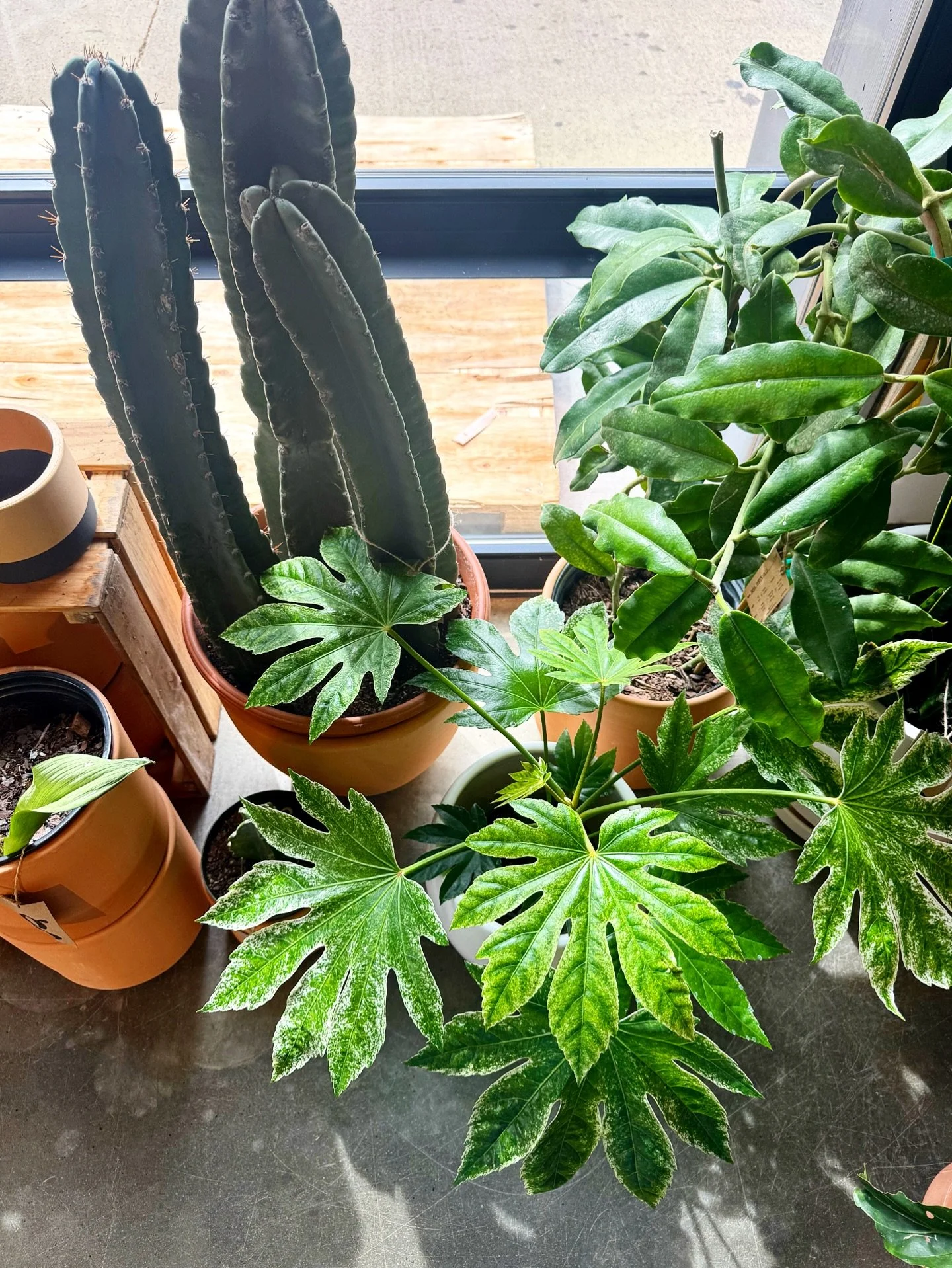 it&rsquo;s the freakin&rsquo; weekend&hellip;FINALLY!  come spend yours supporting small at @campnorthend!!