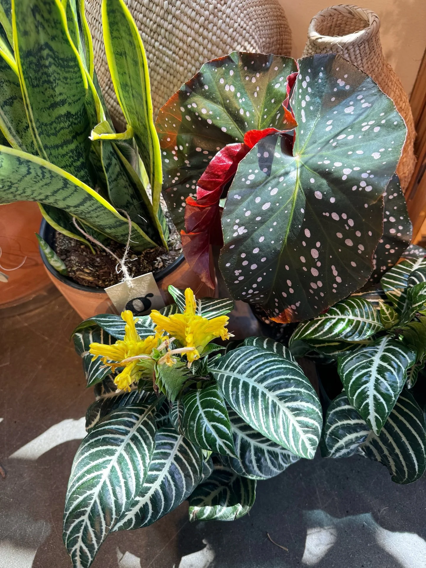 aah!  finally the weekend!

come pick out something cute for yourself!

fri 12-7 | sat + sun 11-6