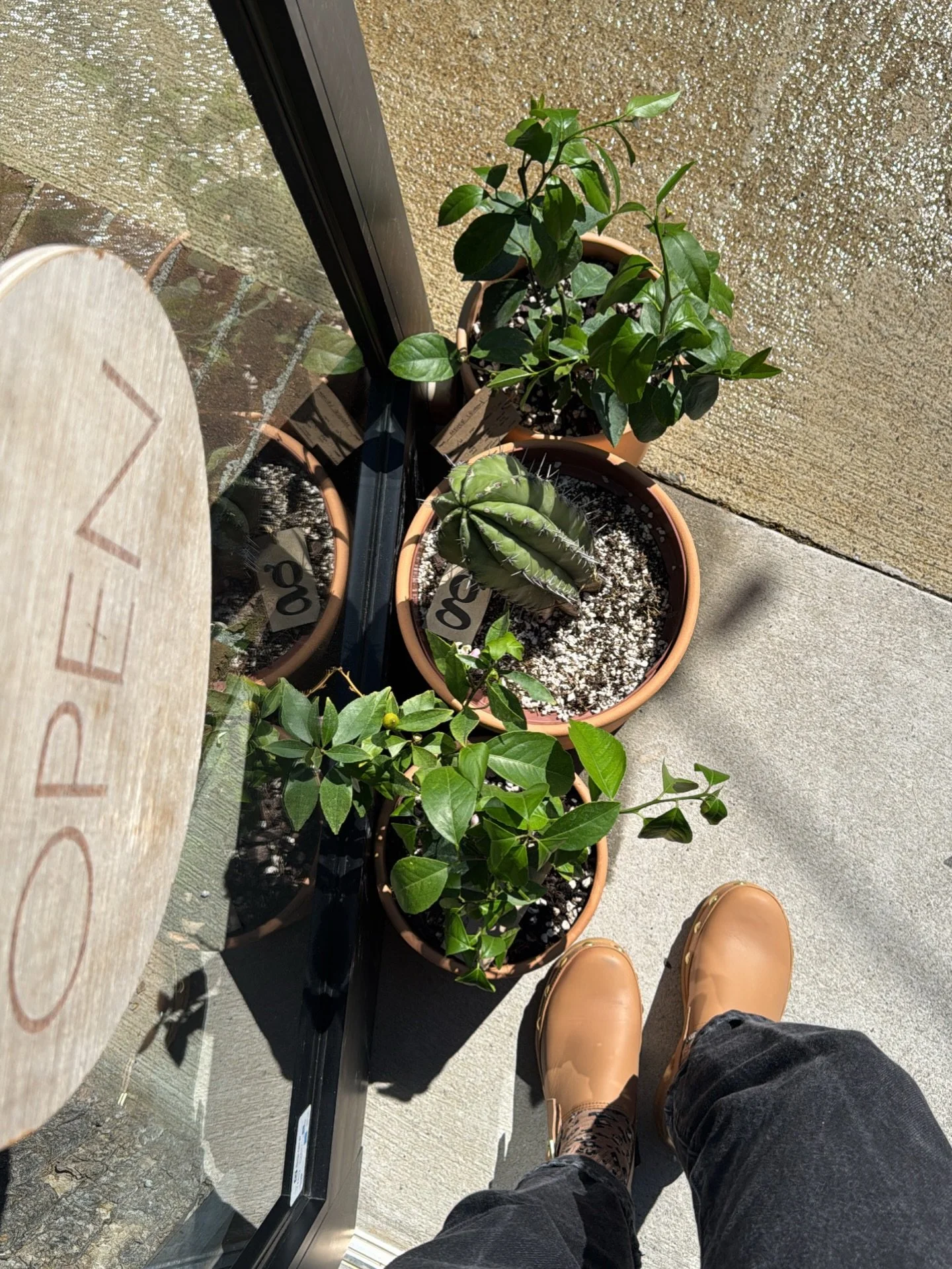 open regular business hours all week!

tues 12-6 | wed - fri 12-7 | sat + sun 11-6