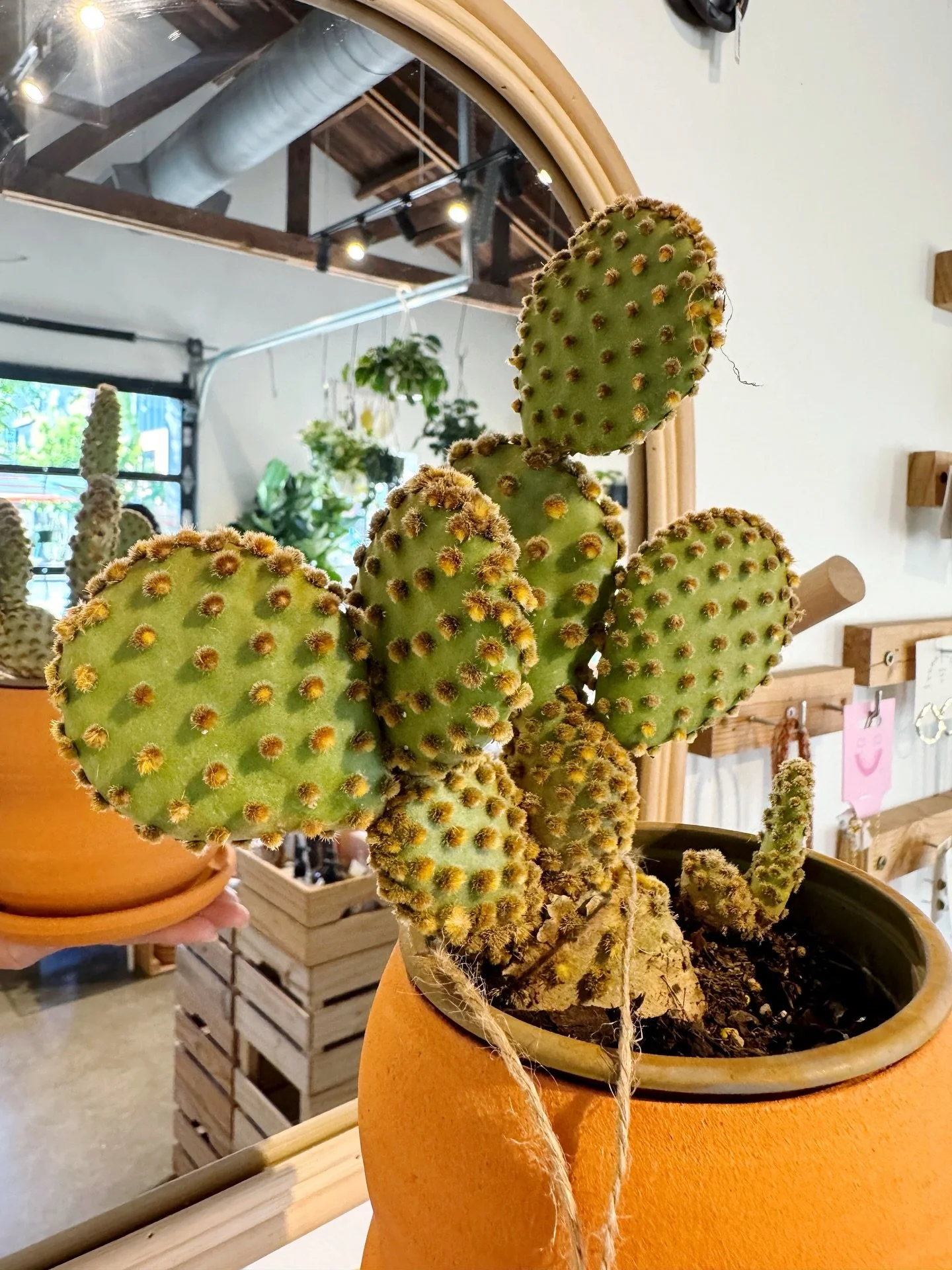 come treat yourself today!

ope 12-7