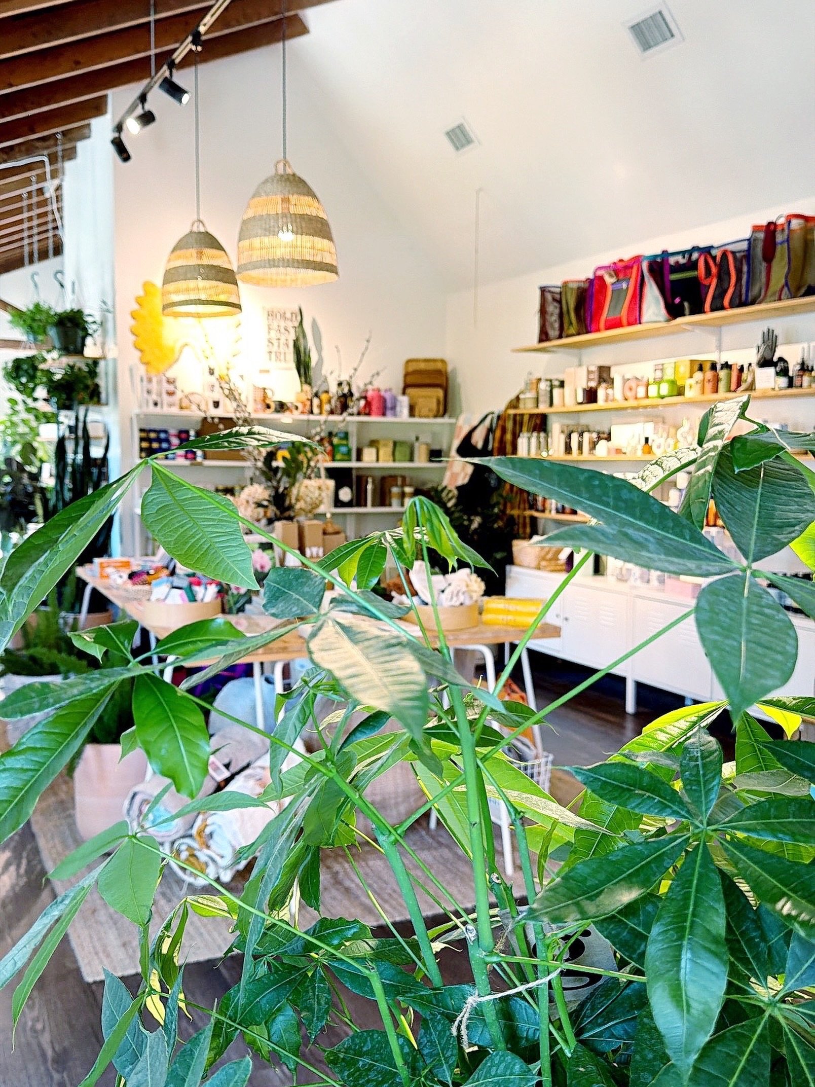 happy saturday!

come buy some plants&hellip;+ skincare + clothes + puzzles + books + snacks + coffee + matcha + bags&hellip;

we have a little something for everyone!

open 11-6