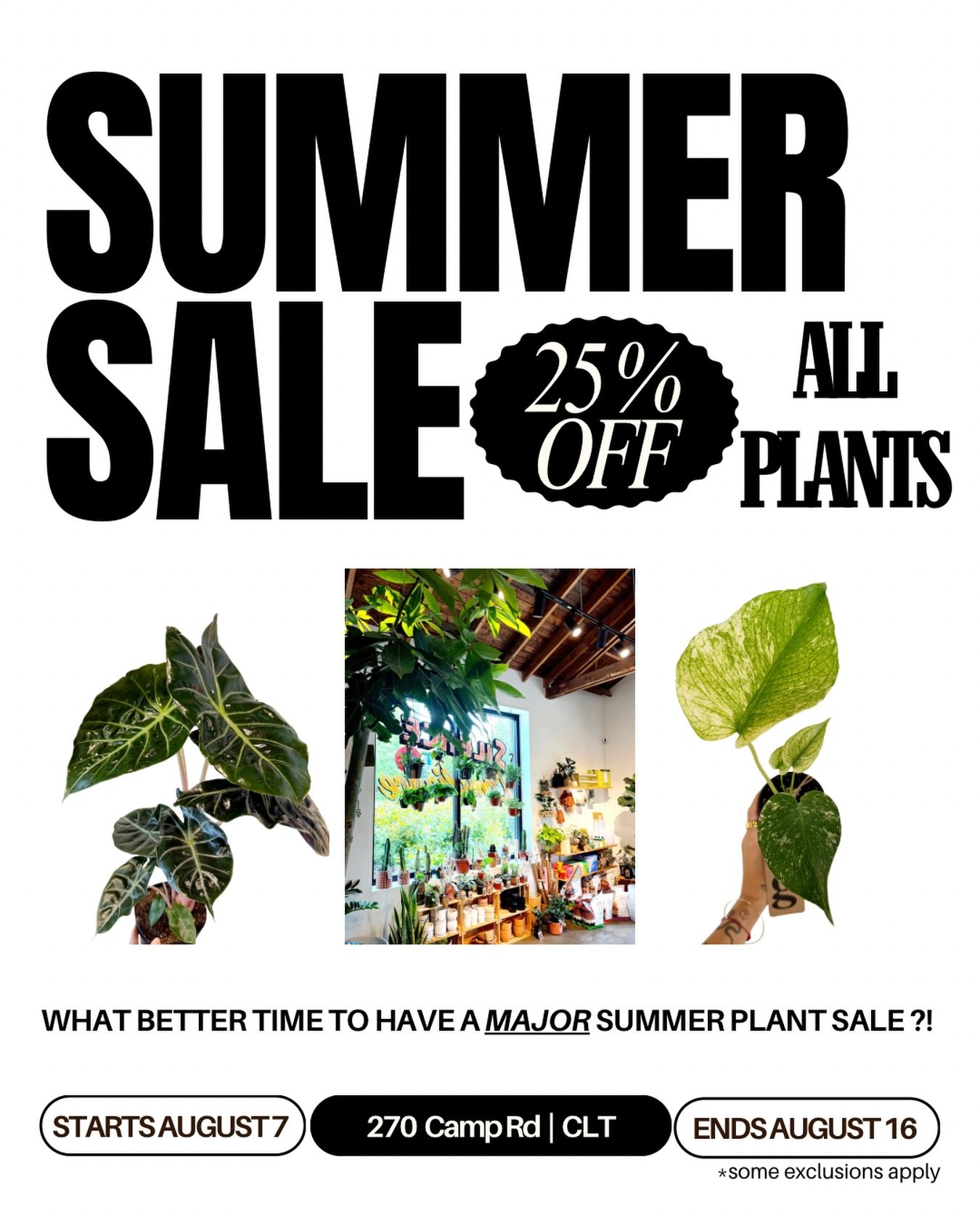 for those who have been waiting&hellip;it&rsquo;s FINALLY time! 
our annual SUMMER PLANT SALE starts NOW!!

starting TODAY through Sunday, August 16, take 25% PLANTS!!!!!

come help us clear out all of our plants before we close for our end of summer