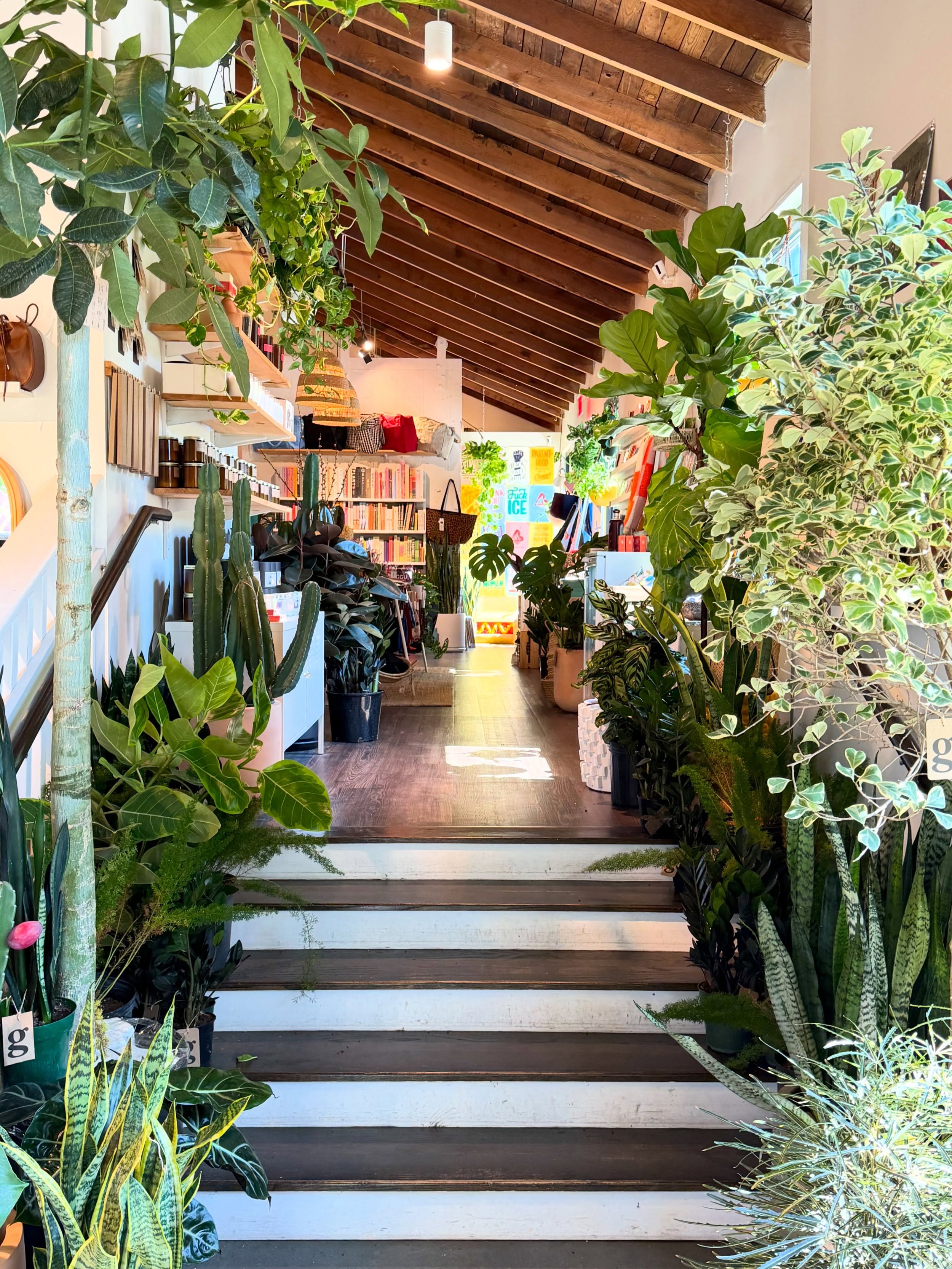 come cool off with us today.

open 12-7!
