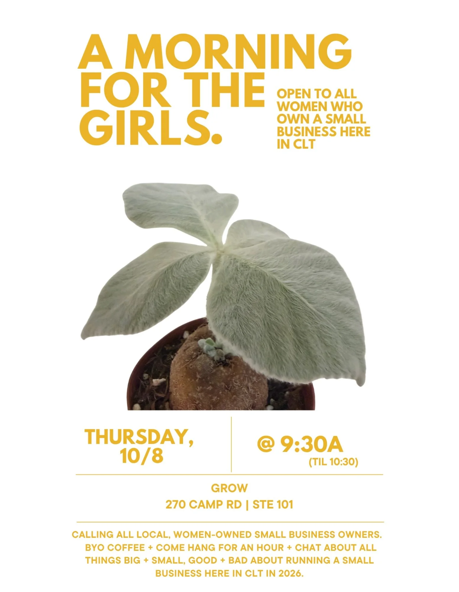we&rsquo;re finally back!  apologies for the little break, but let&rsquo;s get back into it.

calling all local, women small business owners. 
BYO coffee + come hang for an hour + chat about all things big + small, good + bad about running a small bu