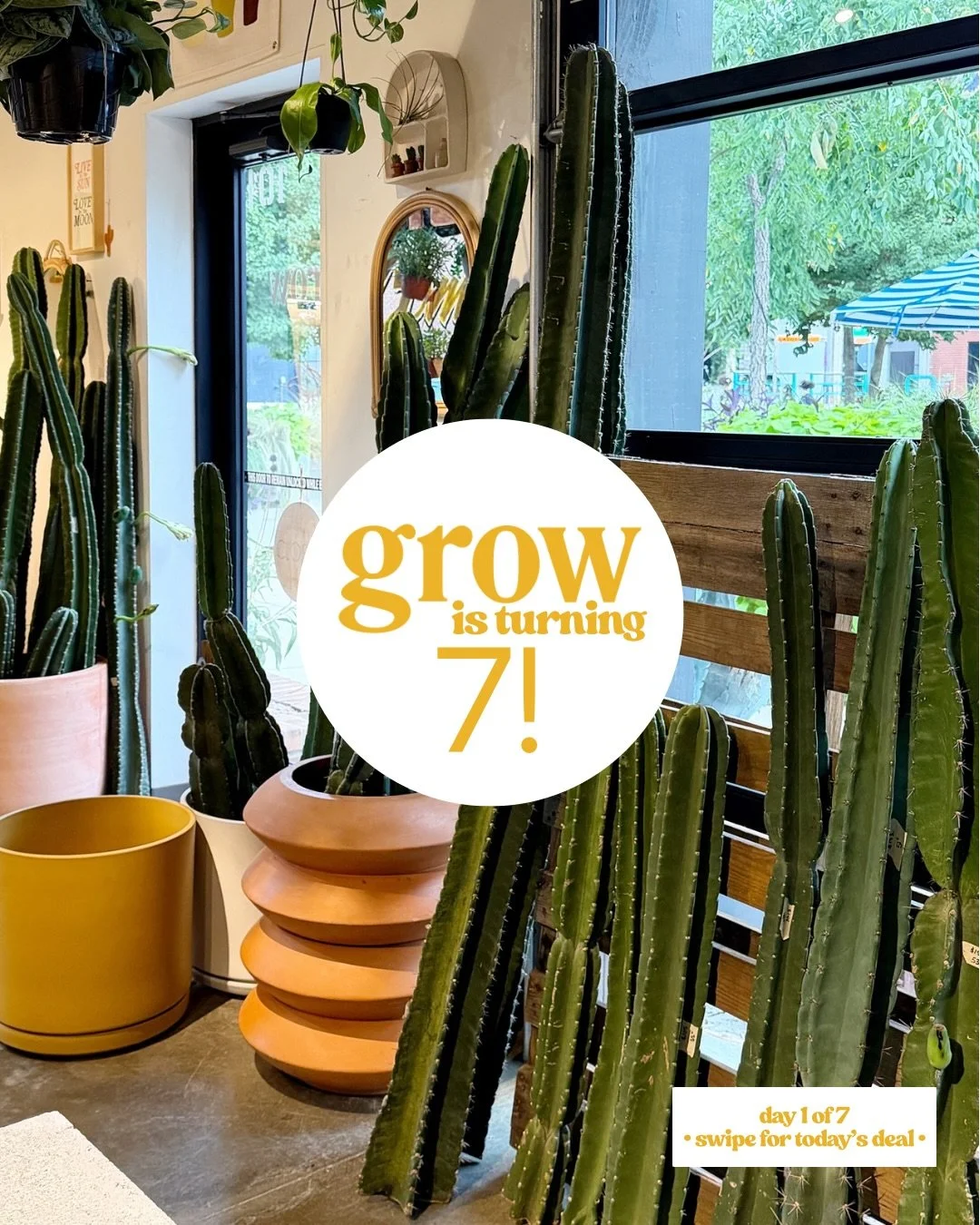 grow turns lucky number SEVEN this week! + bc we wouldn&rsquo;t still be here doing the thing without all of YOU, we&rsquo;re spending the next seven days treating you to a new, special deal each day!

okay, now for the good stuff&hellip; join us in 