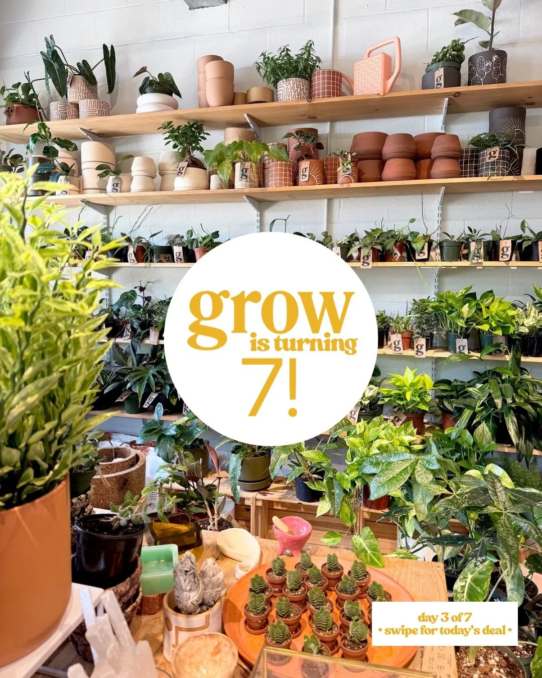day 3 of 7&hellip;+ it&rsquo;s one of our favs!

come by + pick out of our pot of mystery discounts at checkout + you could score anywhere from 10-30% off your purchase!

open 11-7!