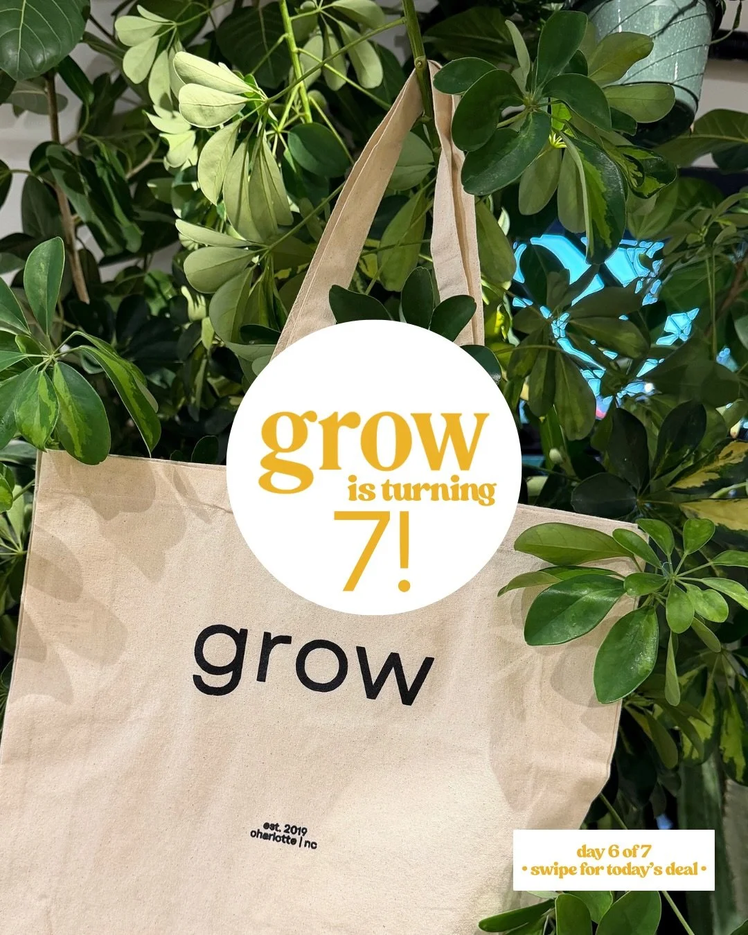 we made it to the weekend!  let&rsquo;s celebrate together!

come see us from 11-7 today, spend $65+ + take home a grow tote on us!

@vtgclt Fall Market is also happening, so you&rsquo;ll have the opportunity to support over 100+ small businesses at 