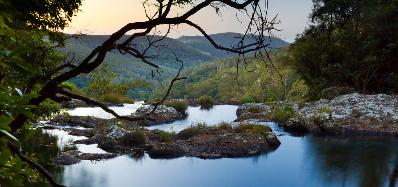 Springbrook-Purlingbrook.jpg