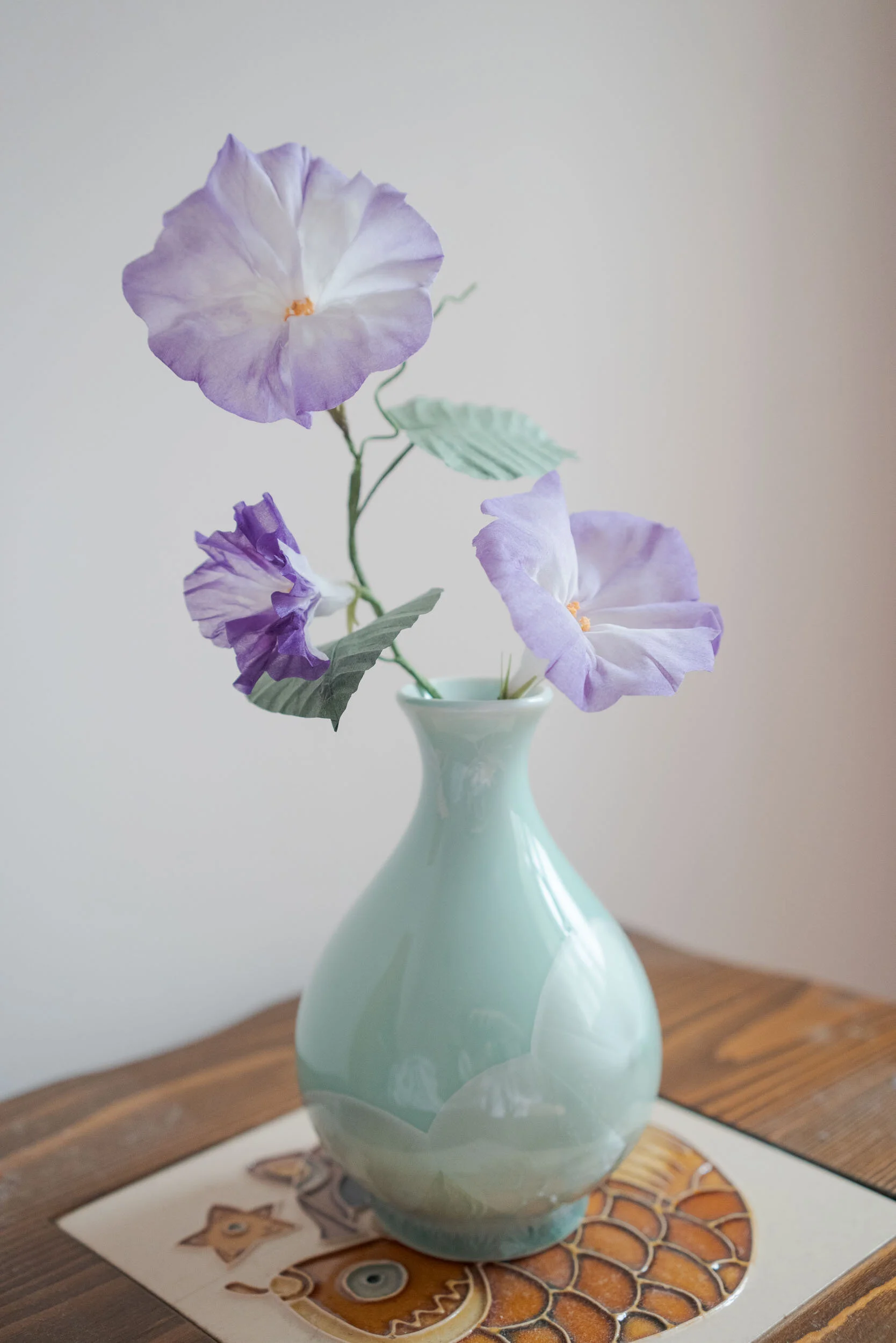 Morning glories 3.JPG