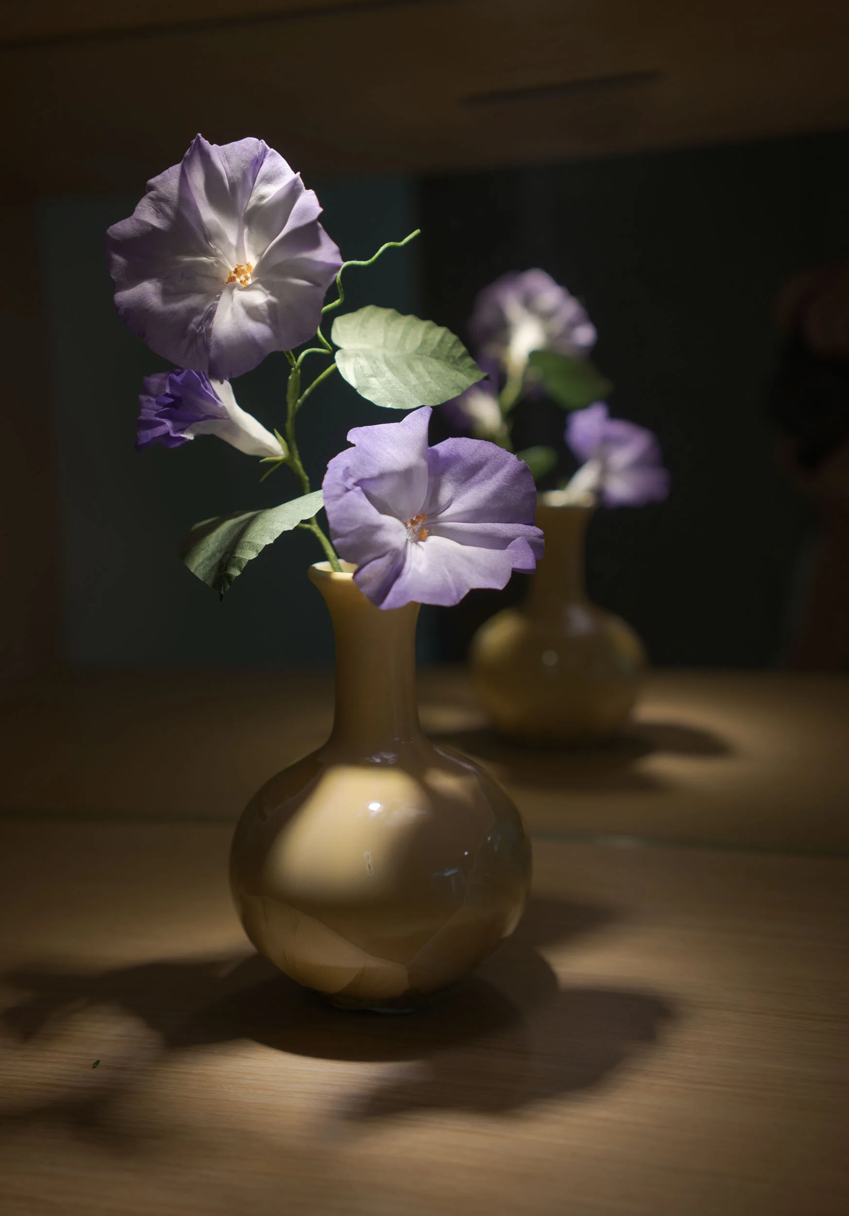 morning glories 6.JPG