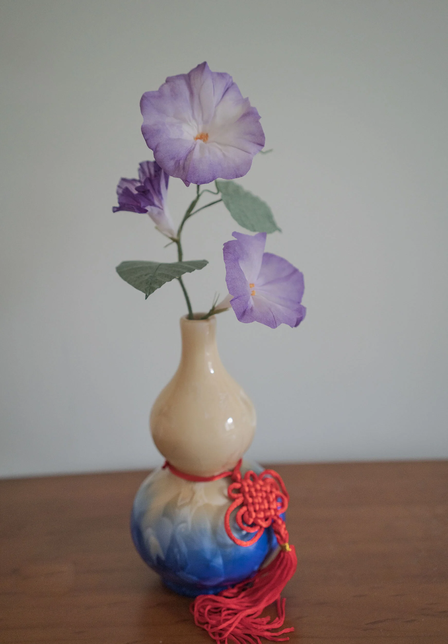 morning glories 5.JPG