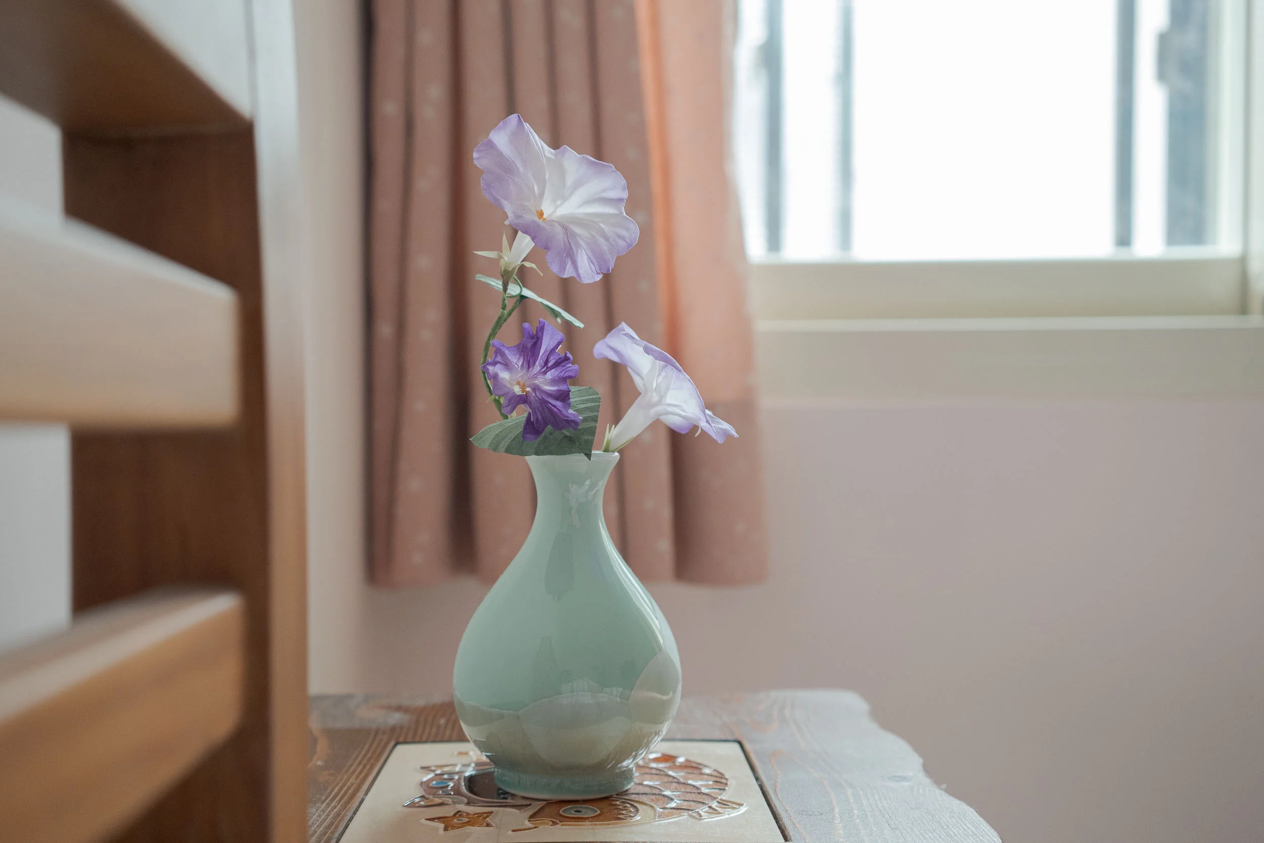 morning glories2.JPG