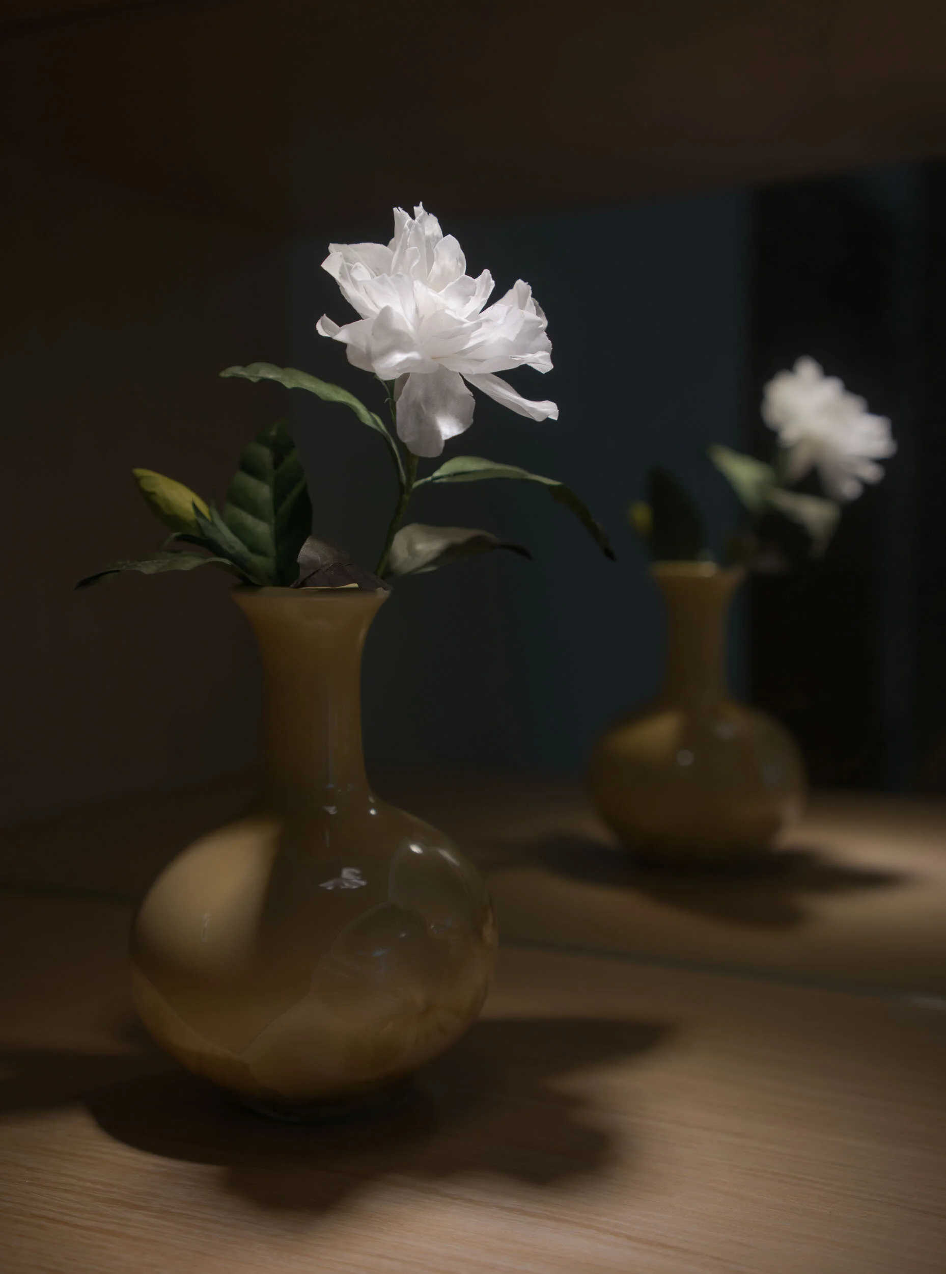 gardenia 2.JPG