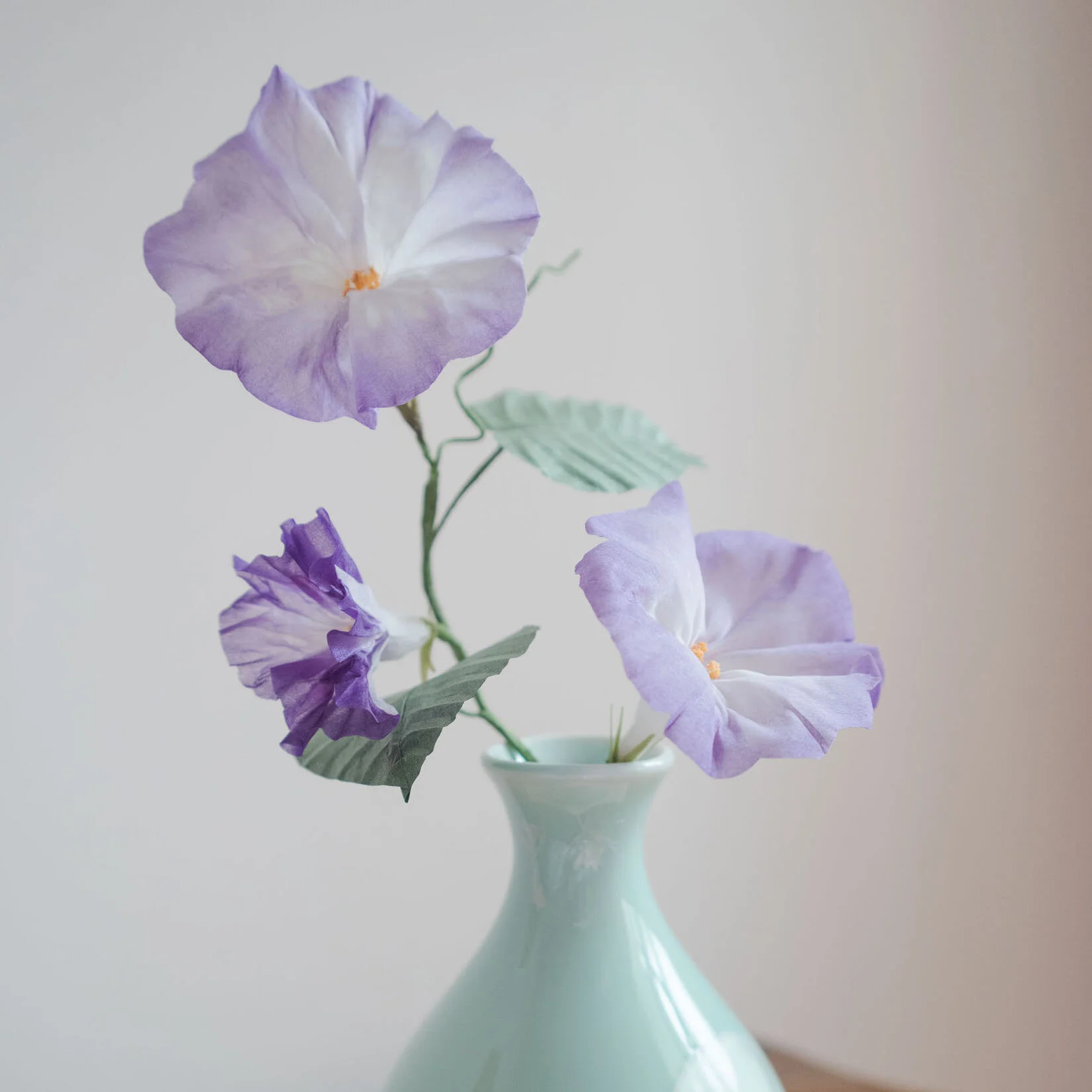 RISD Nature Lab: Morning Glory Workshop