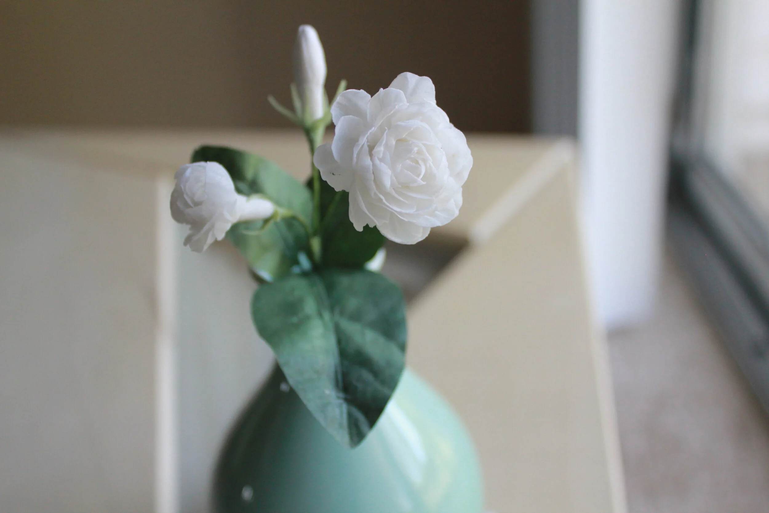 Jasmine