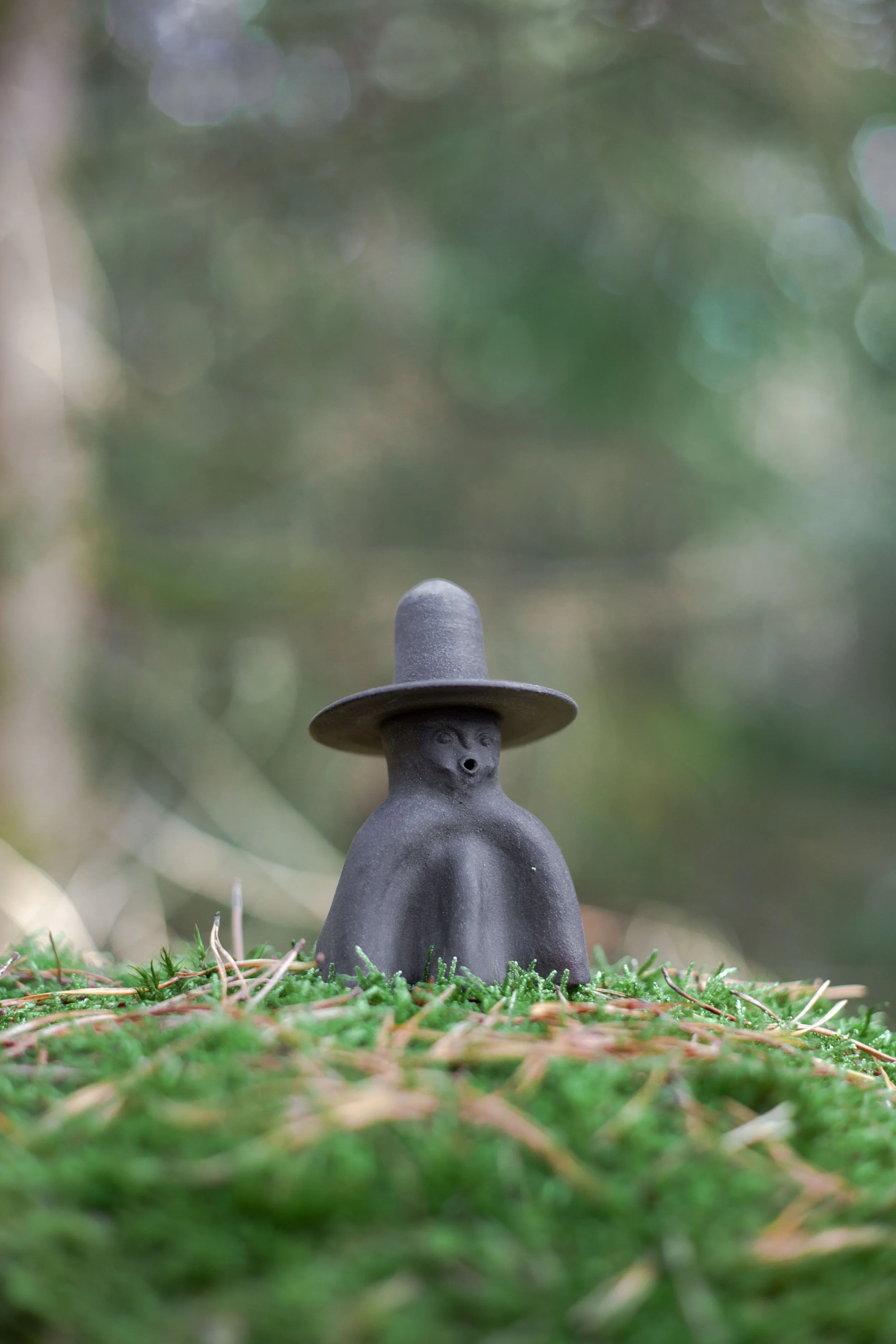 ceres-no2-wide-brim-forest-moss-portrait.jpg