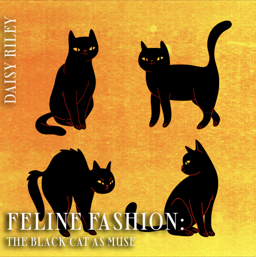 The Black Cat as Fashion's Muse 