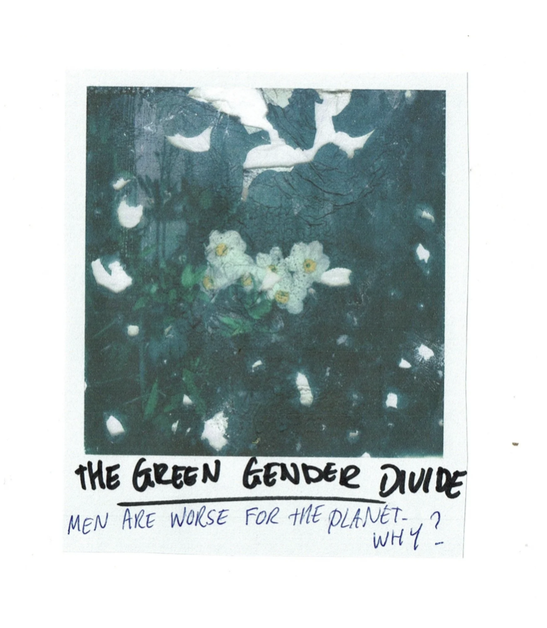 THE GREEN GENDER DIVIDE